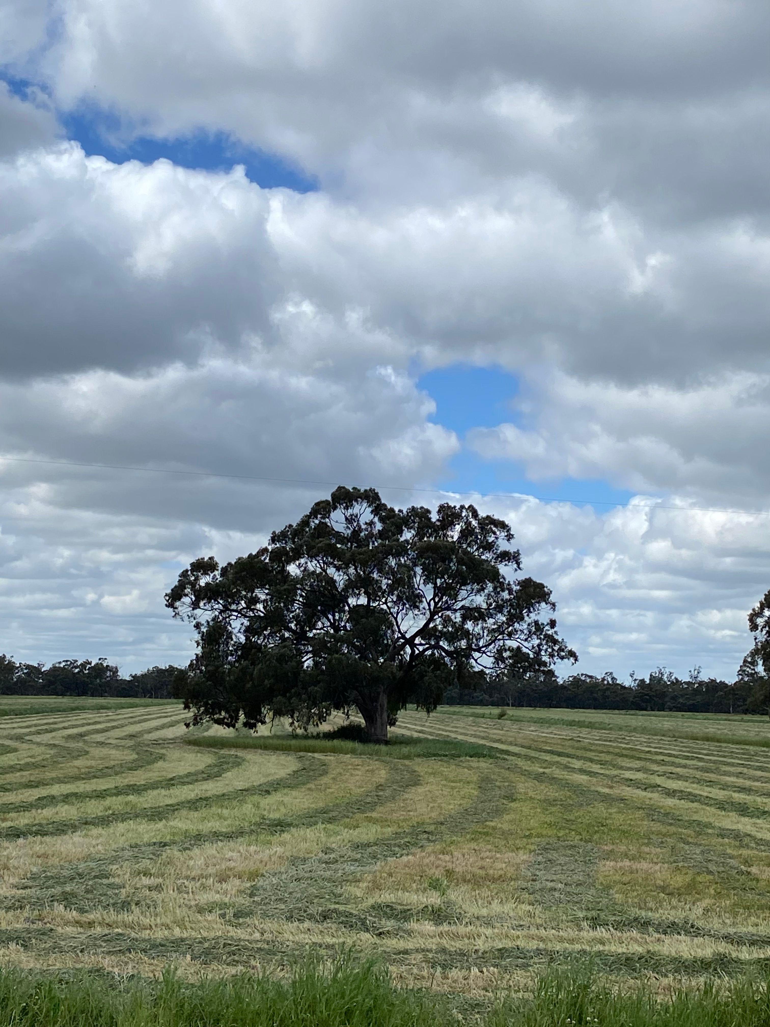 Farming, Lifestyle and Nature - 2500 Acres