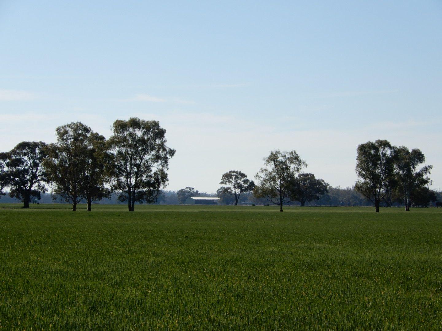 Farming, Lifestyle and Nature - 2500 Acres
