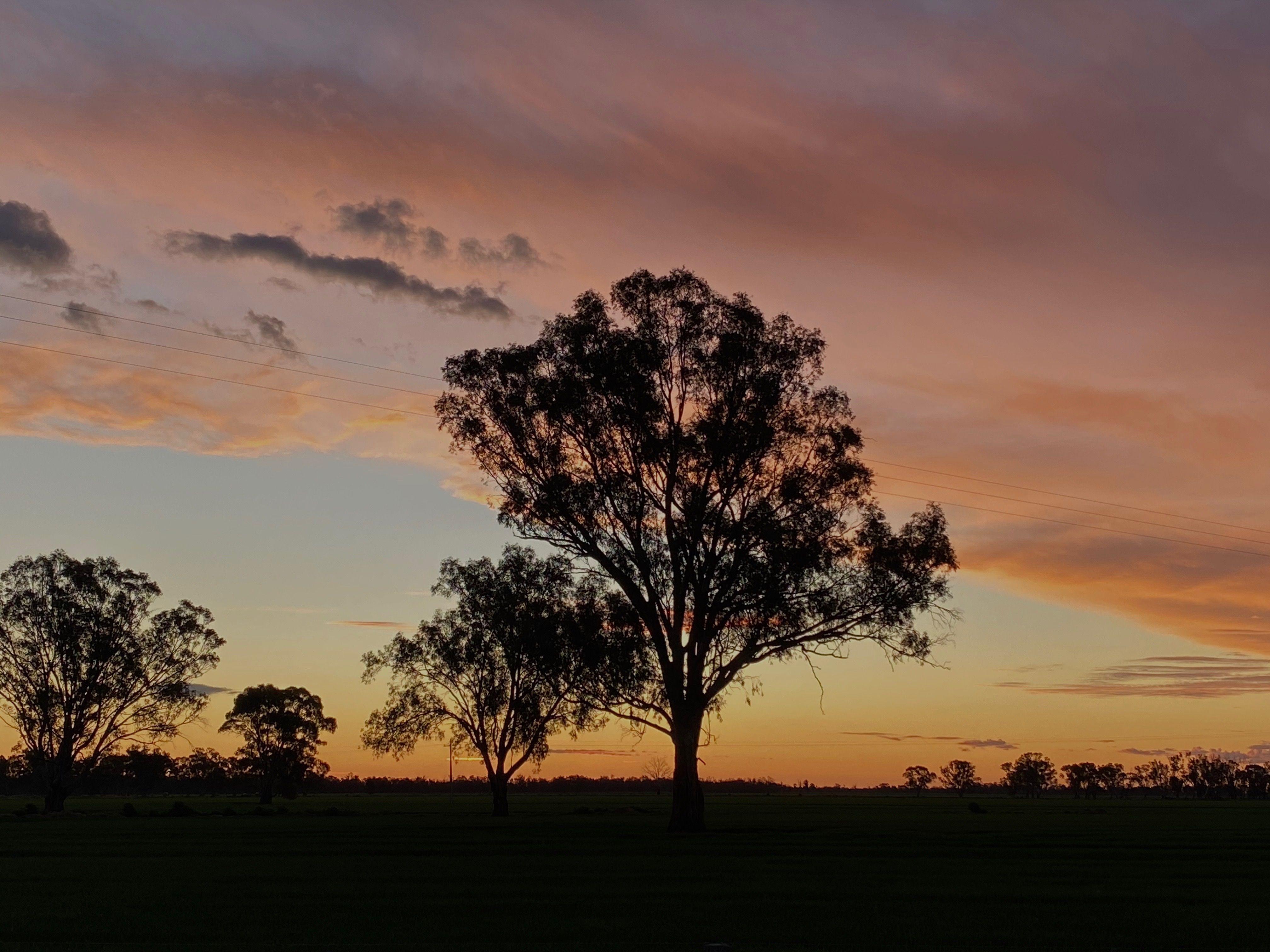 Farming, Lifestyle and Nature - 2500 Acres