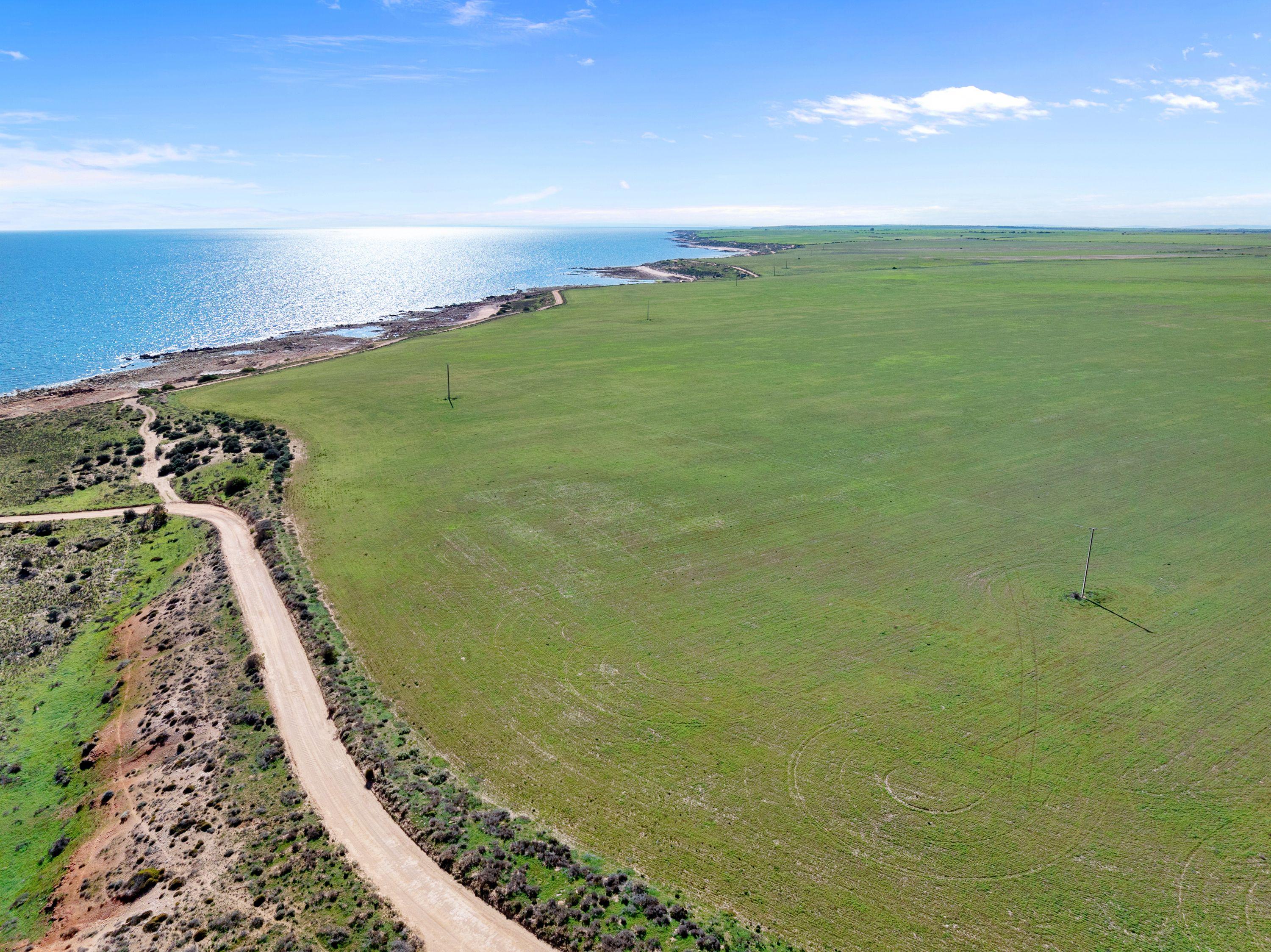Prop-GPT: Cropping: SA Wallaroo Plain, SA 5556 Rural
