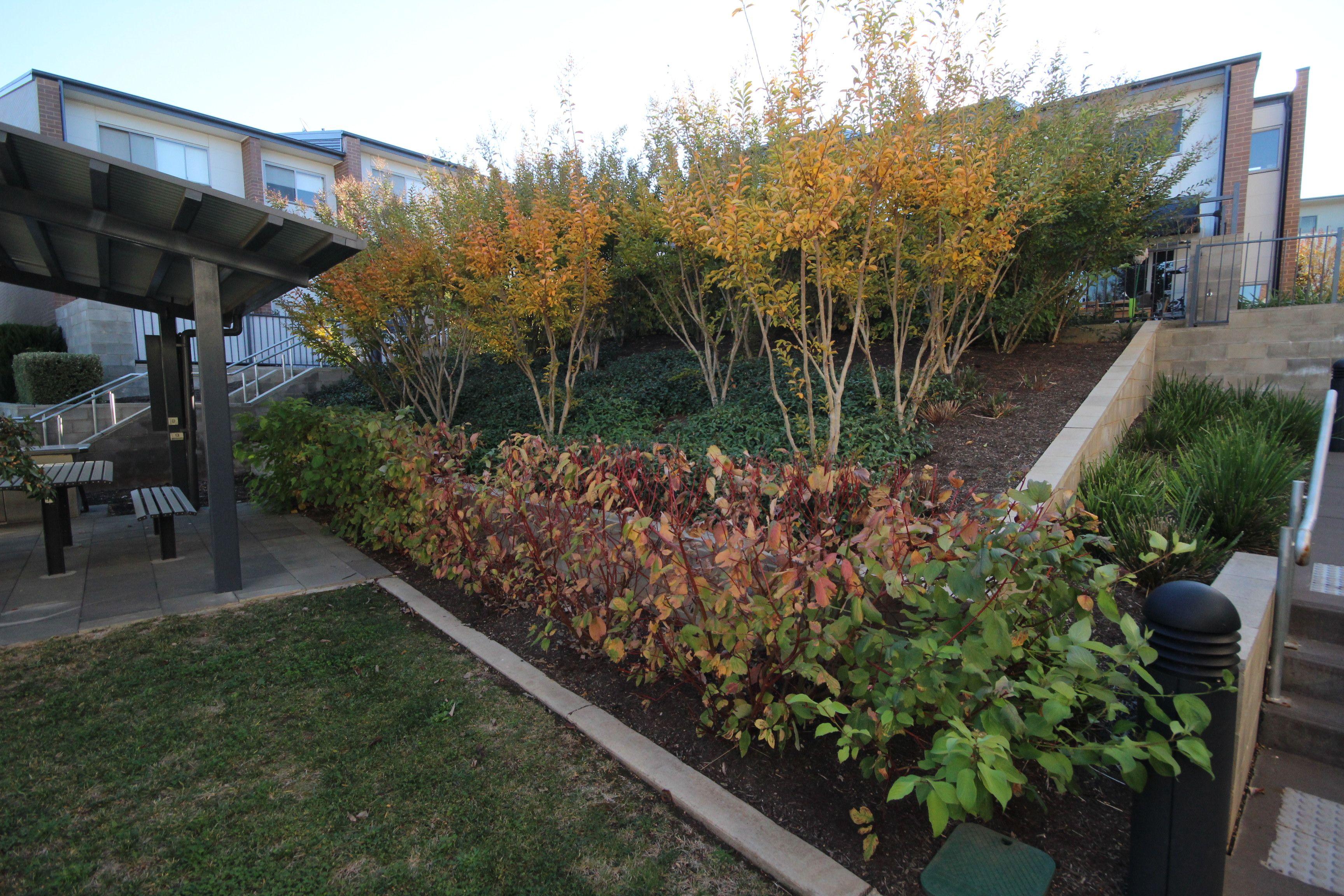Apartment for Rent: Franklin, ACT 2913, ACT, 2913