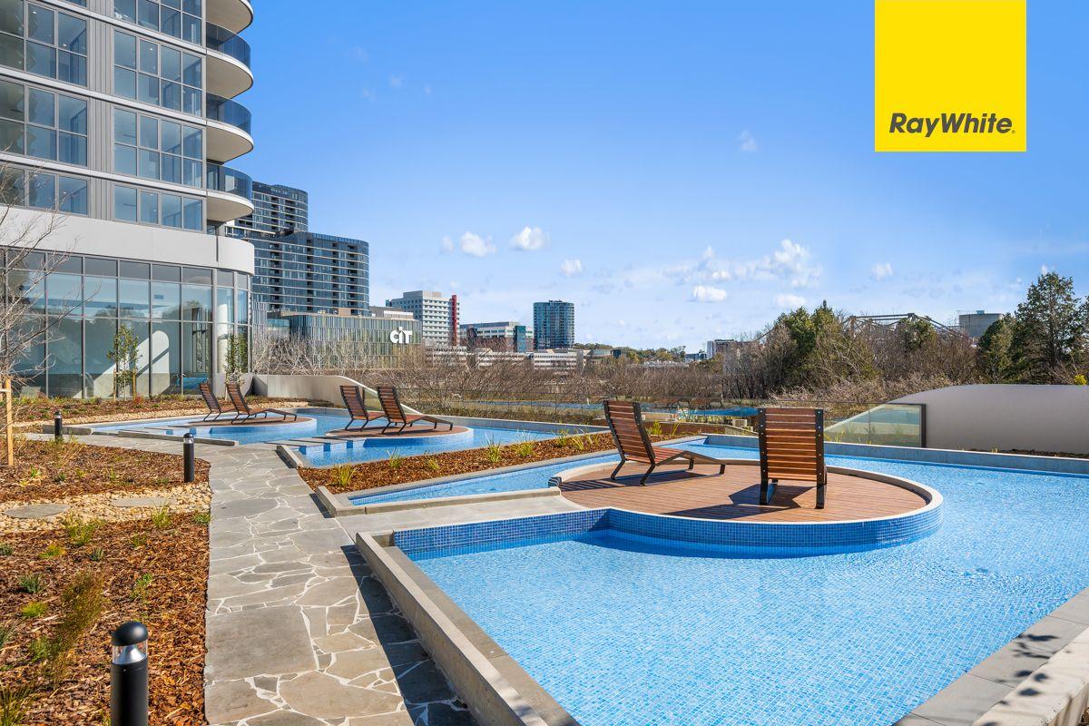Apartment for Rent: Phillip, ACT 2606, ACT, 2606
