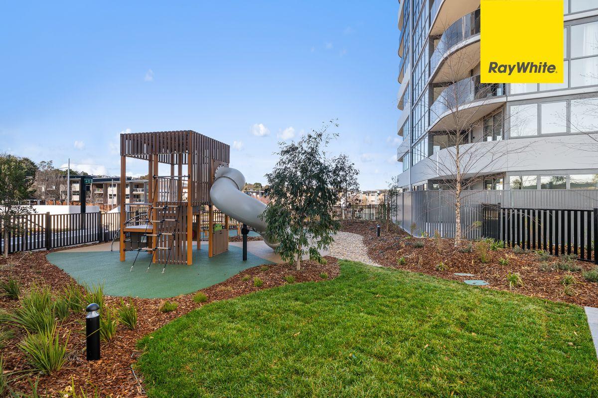 Apartment for Rent: Phillip, ACT 2606, ACT, 2606