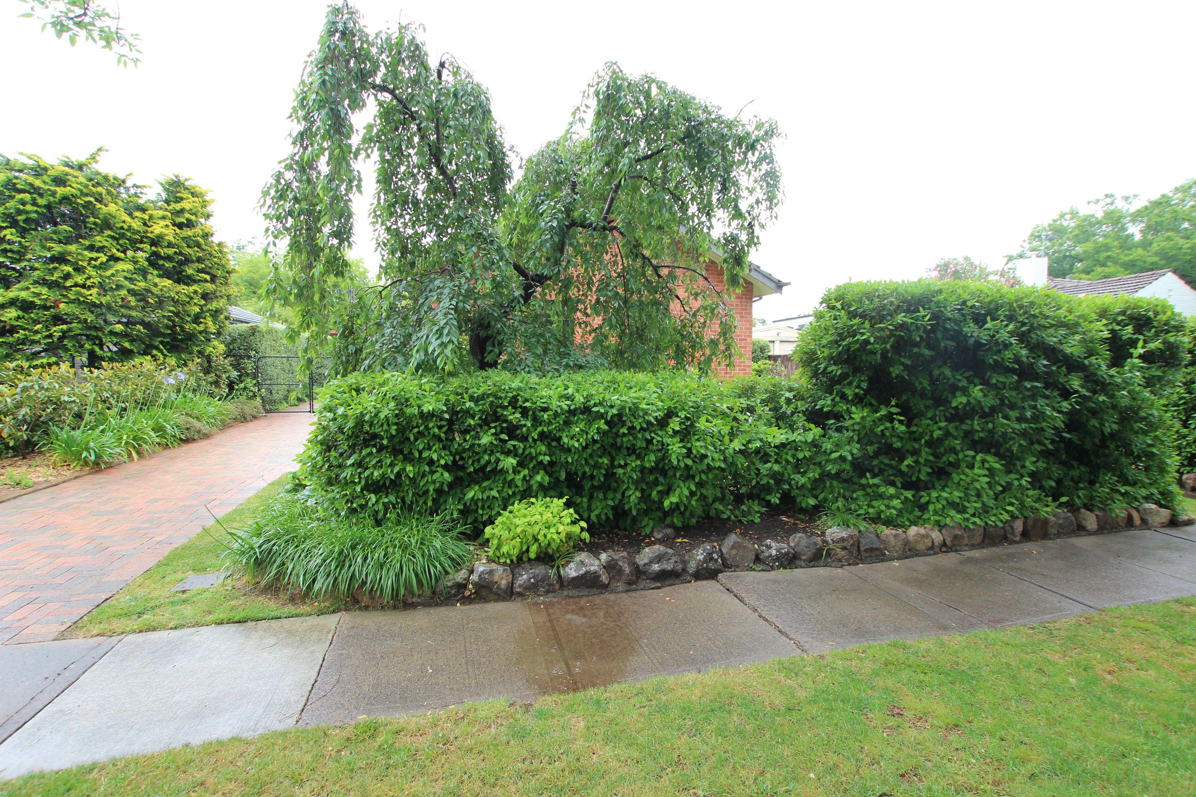 Elegant & Charming home- 3 month lease only