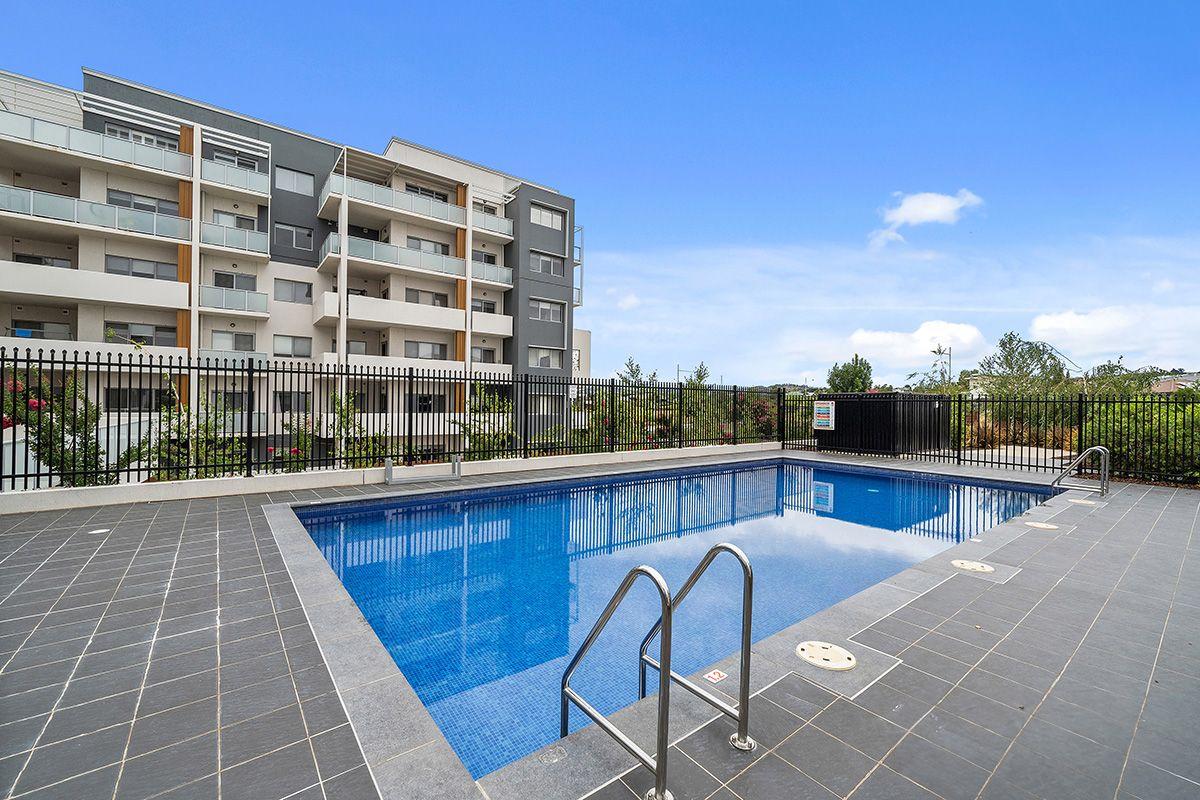 Apartment for Rent: Wright, ACT 2611, ACT, 2611