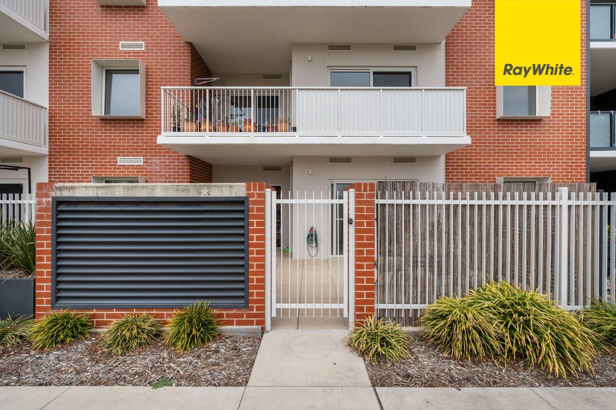 Apartment for Rent: Downer, ACT 2602, ACT, 2602