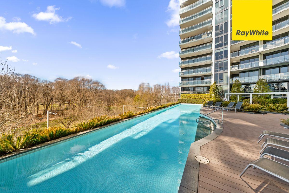 Spacious 1 bedroom apartment in the heart of the city