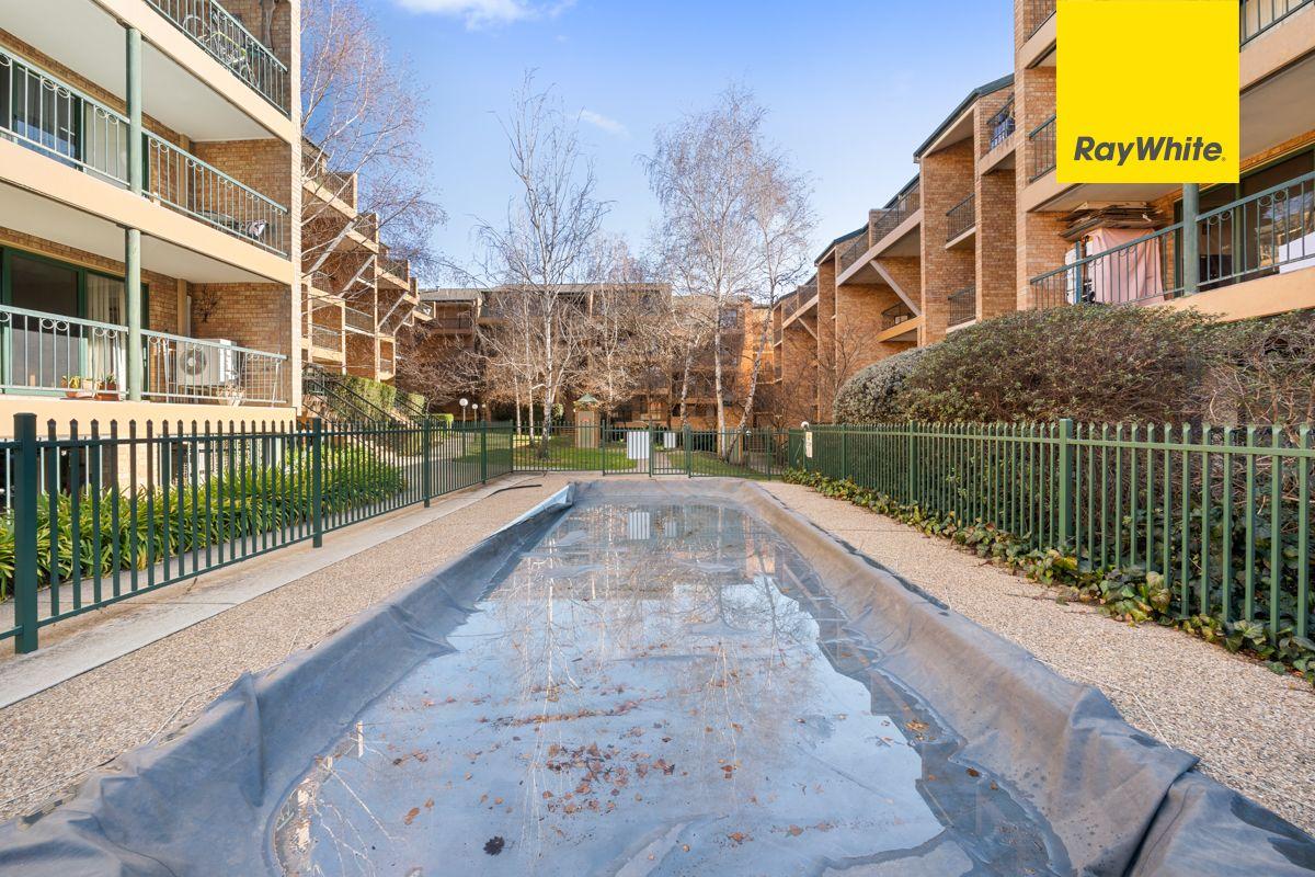 Apartment for Rent: Griffith, ACT 2603, ACT, 2603