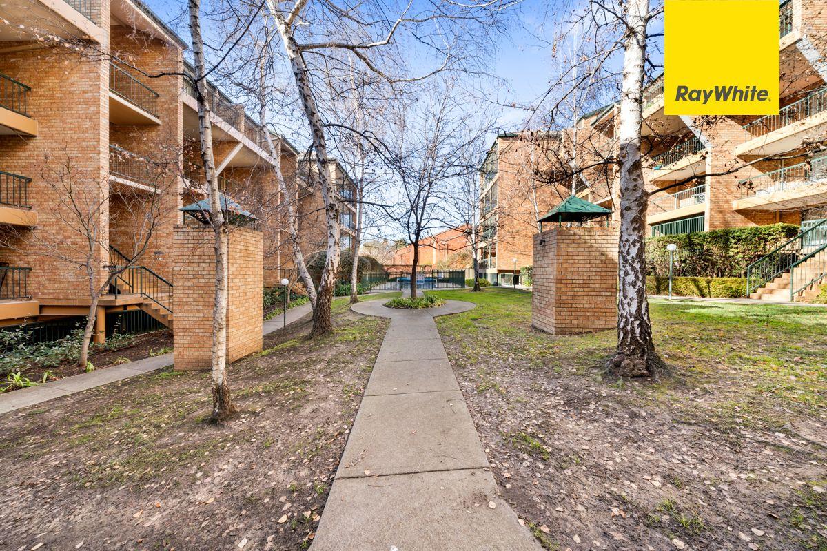 Apartment for Rent: Griffith, ACT 2603, ACT, 2603