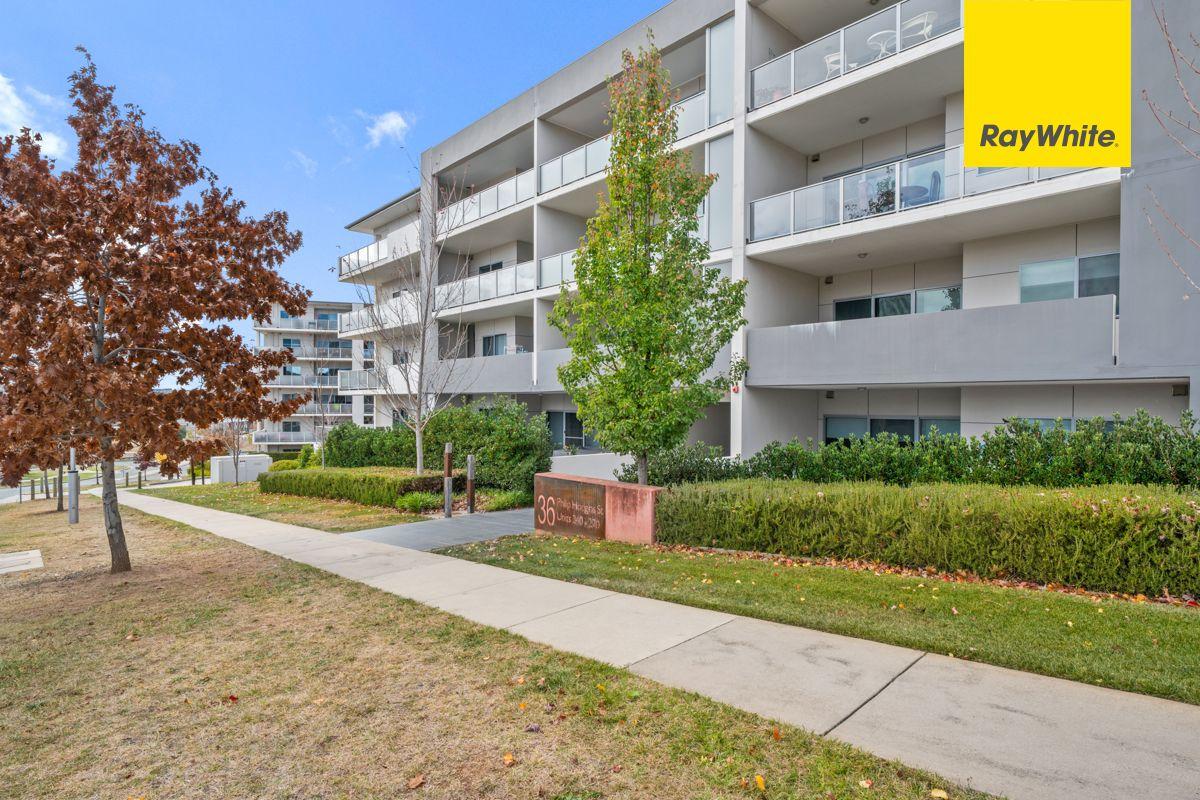 Prop-GPT: Apartment: ACT Wright, ACT 2611 Home For Rent
