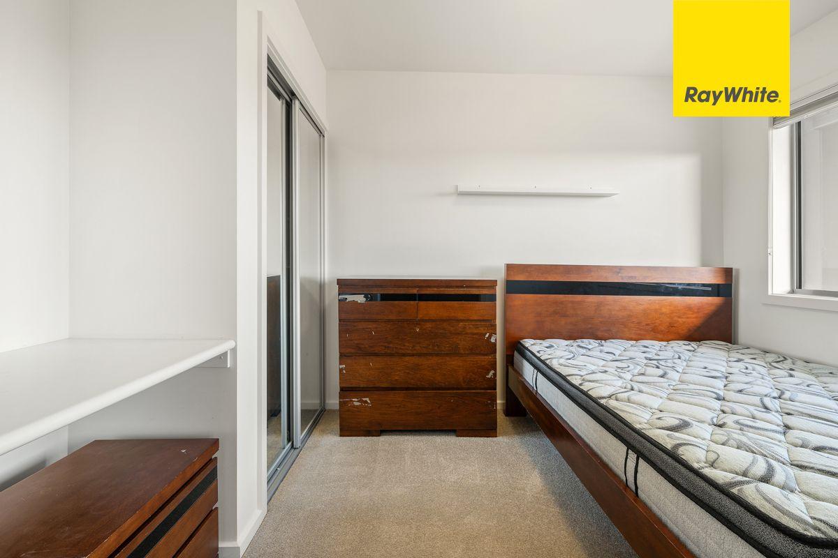 Apartment for Rent: Wright, ACT 2611, ACT, 2611