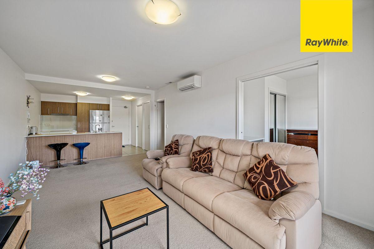 Apartment for Rent: Wright, ACT 2611, ACT, 2611