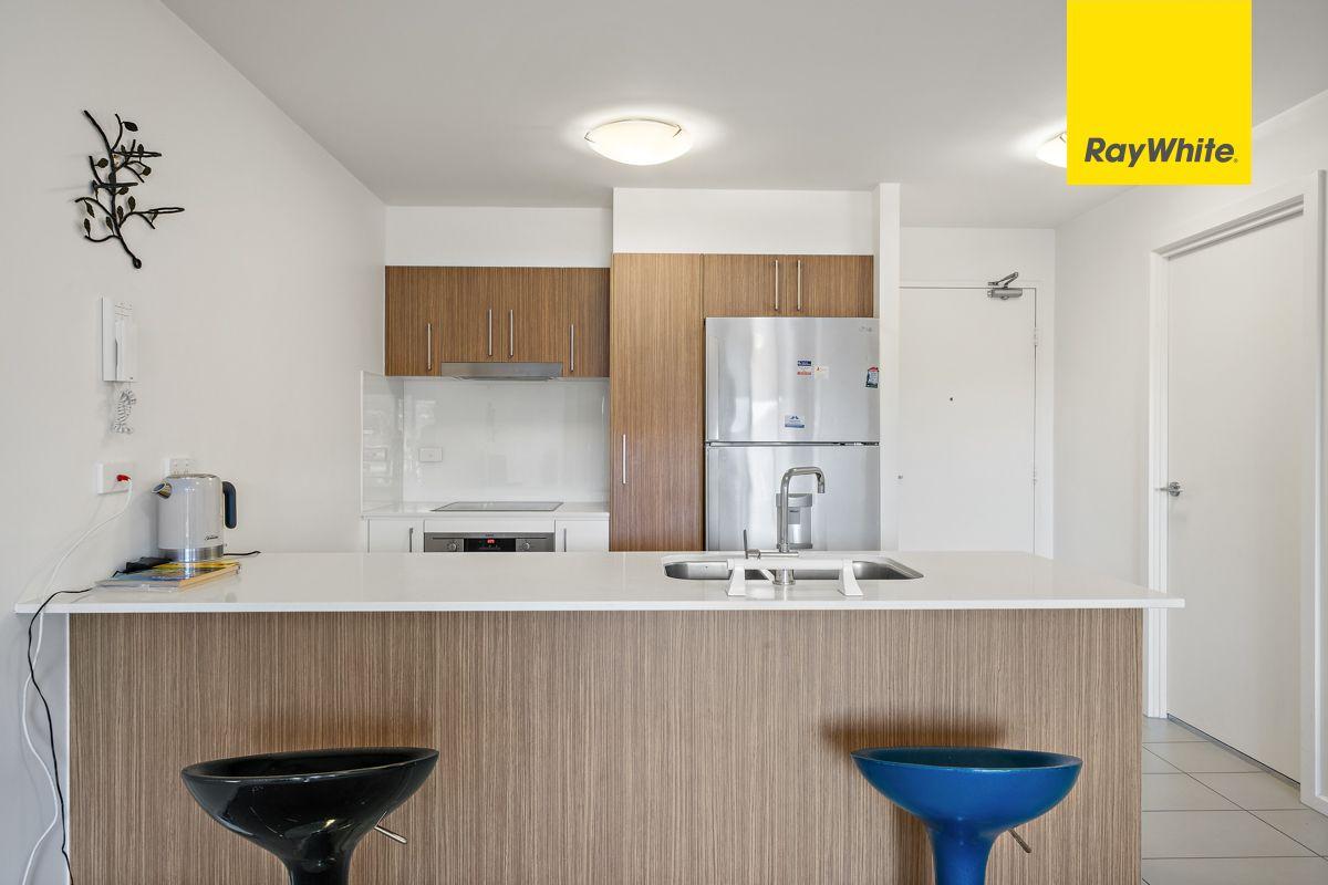 Apartment for Rent: Wright, ACT 2611, ACT, 2611