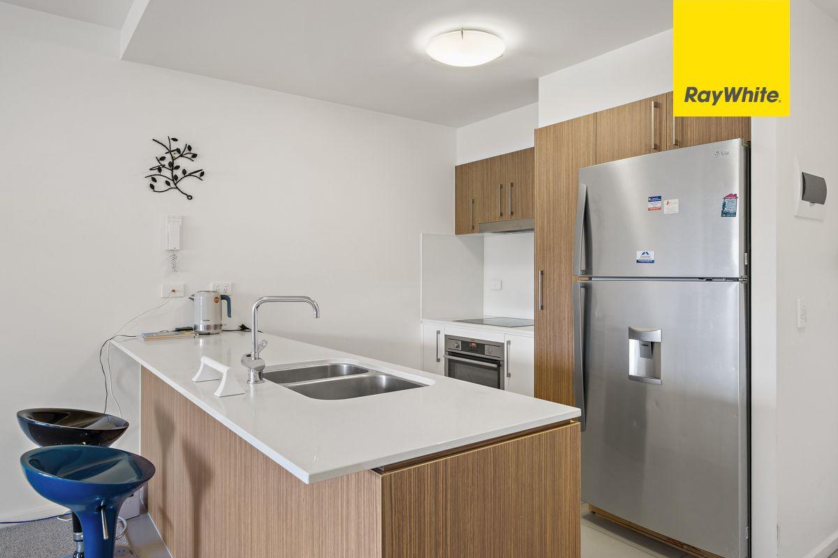 Apartment for Rent: Wright, ACT 2611, ACT, 2611