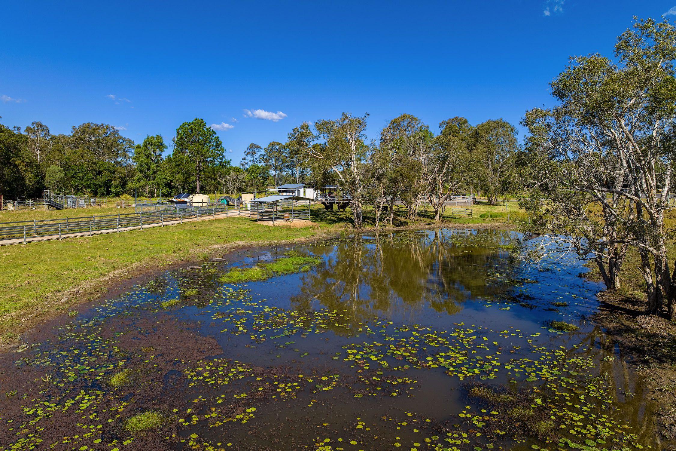 Rural Retreat with Creek Frontage and Opportunity!