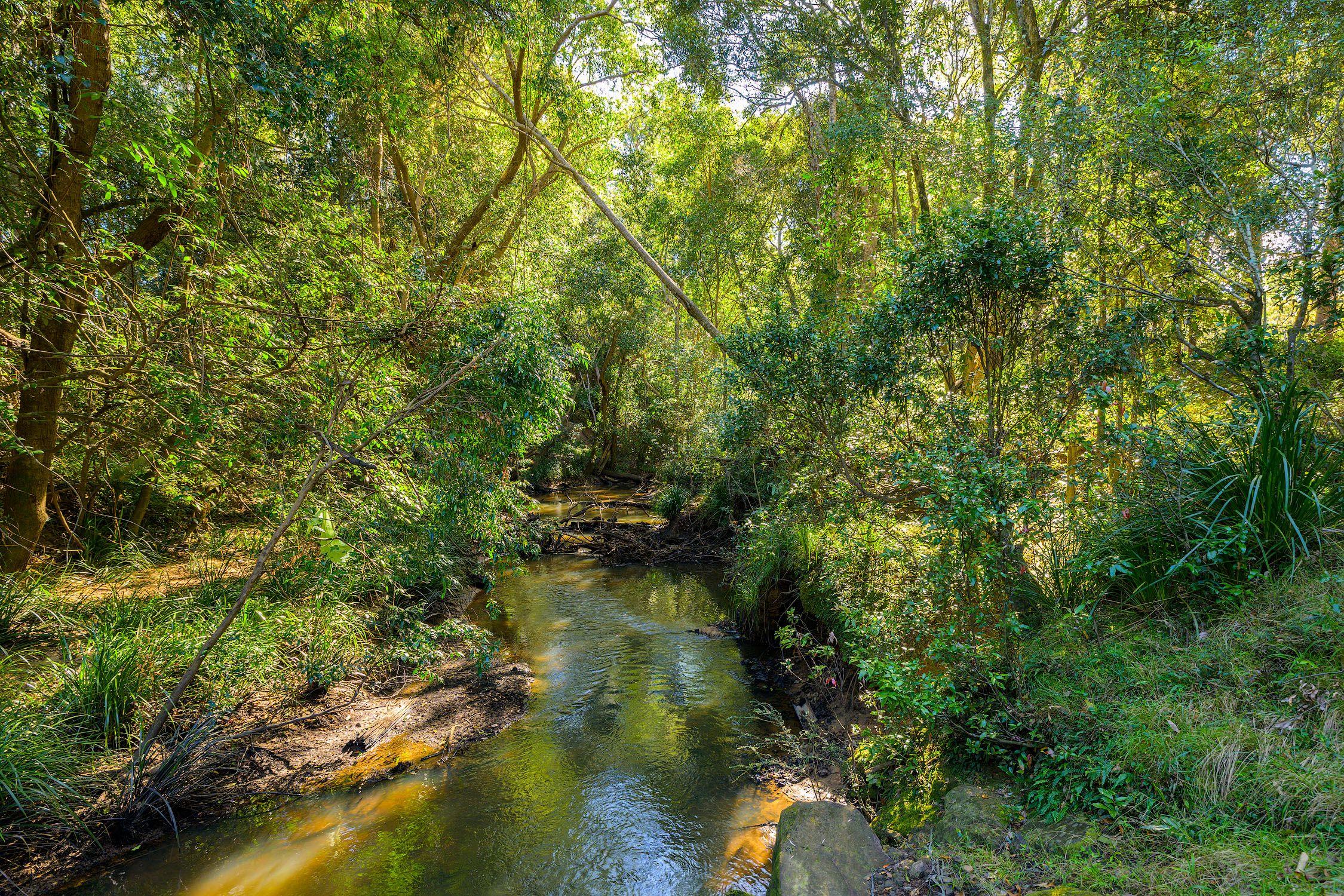 Rural Retreat with Creek Frontage and Opportunity!