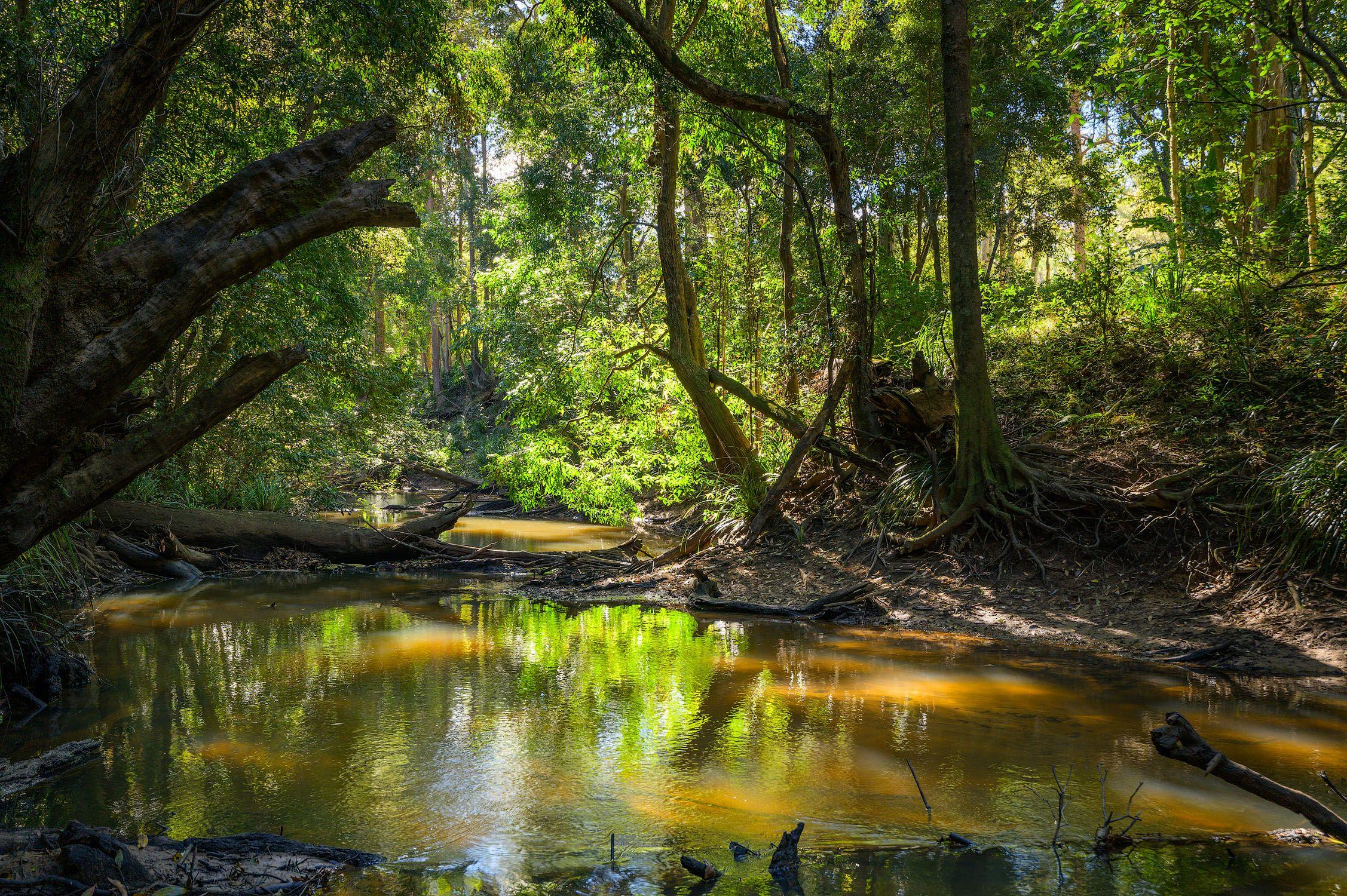 Rural Retreat with Creek Frontage and Opportunity!