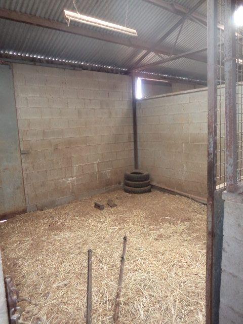 3 Bedroom Home set up for horses!!