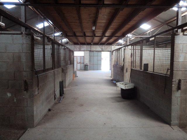 3 Bedroom Home set up for horses!!