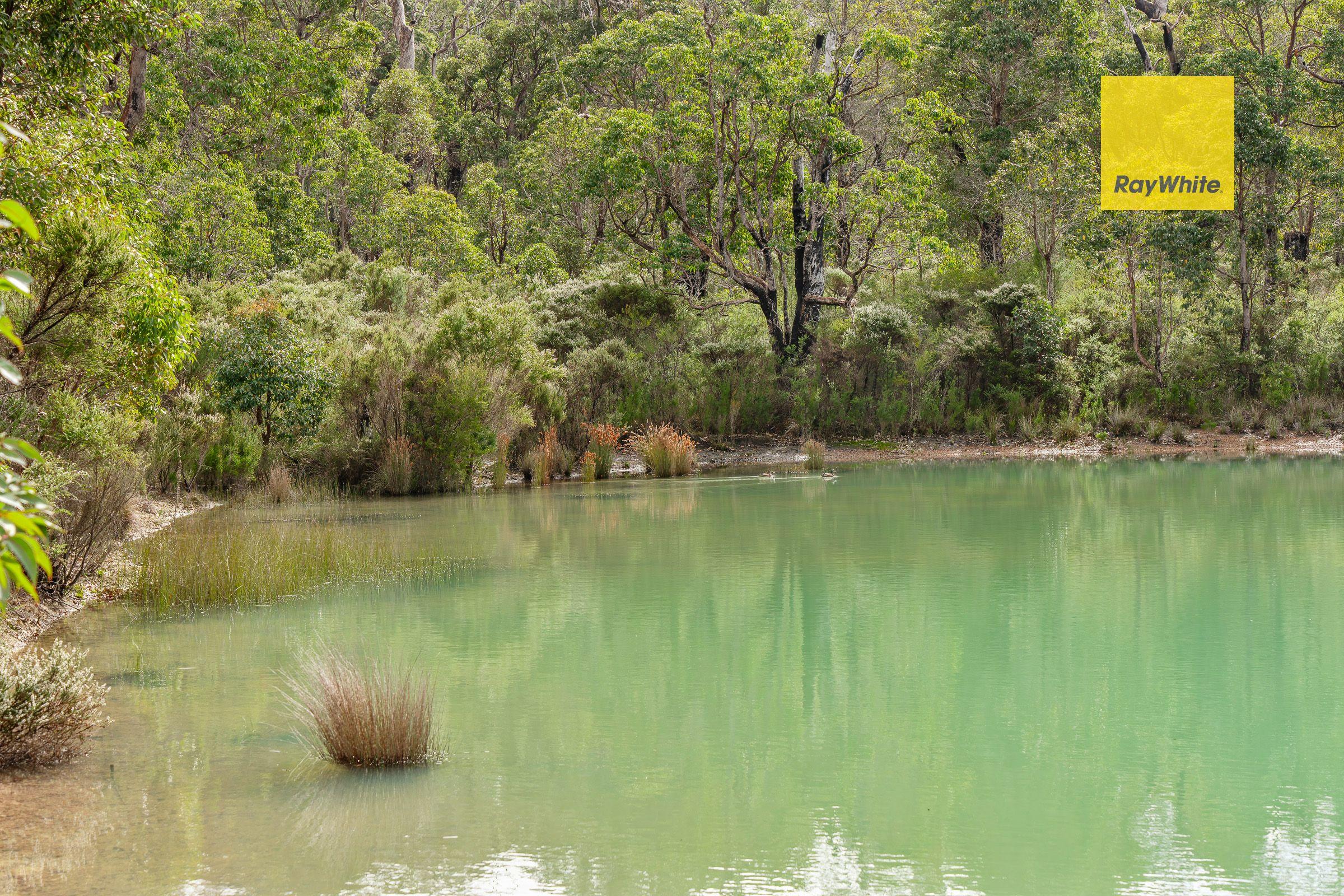 106 Acres of Off-Grid Freedom in Magical Meerup