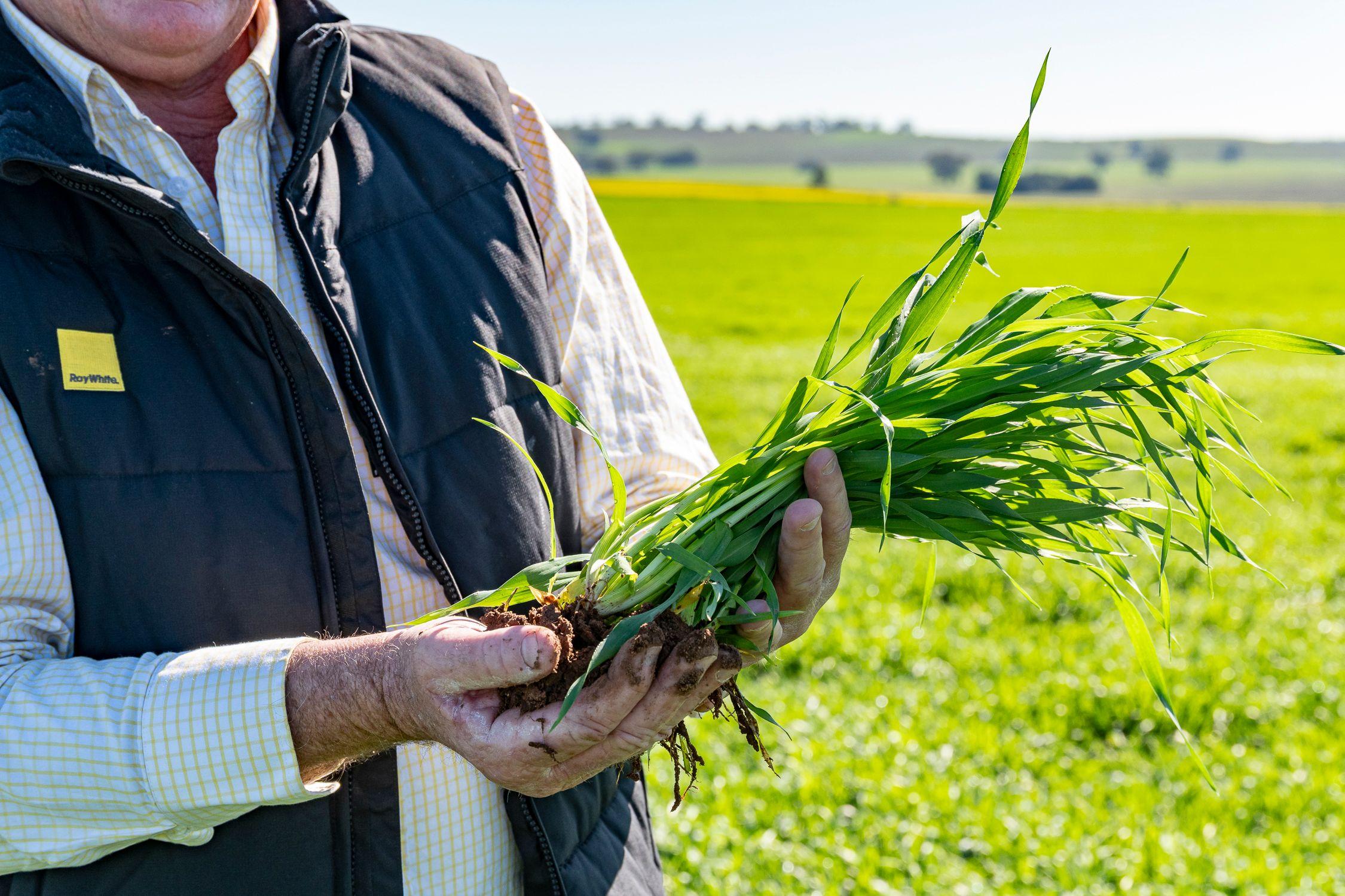 Prop-GPT: Cropping: NSW Barooga, NSW 3644 Rural
