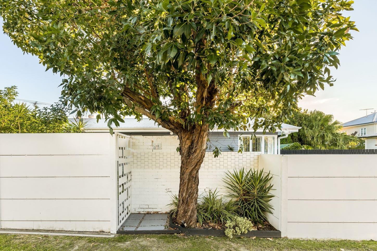 44 Clarence Road, KEDRON, QLD 4031 - House for Rent - harcourts.net