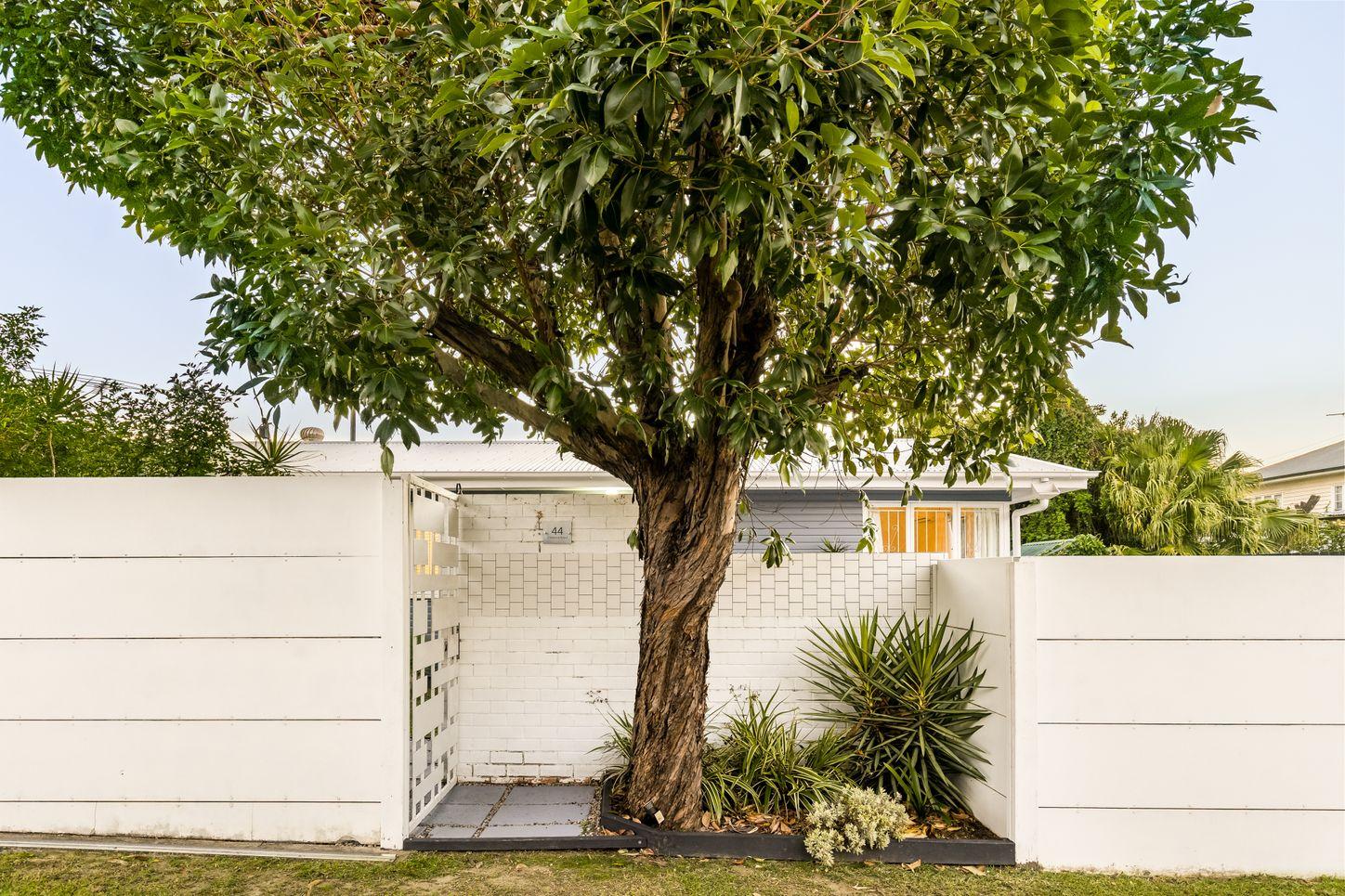 44 Clarence Road, KEDRON, QLD 4031 - House for Rent - harcourts.net