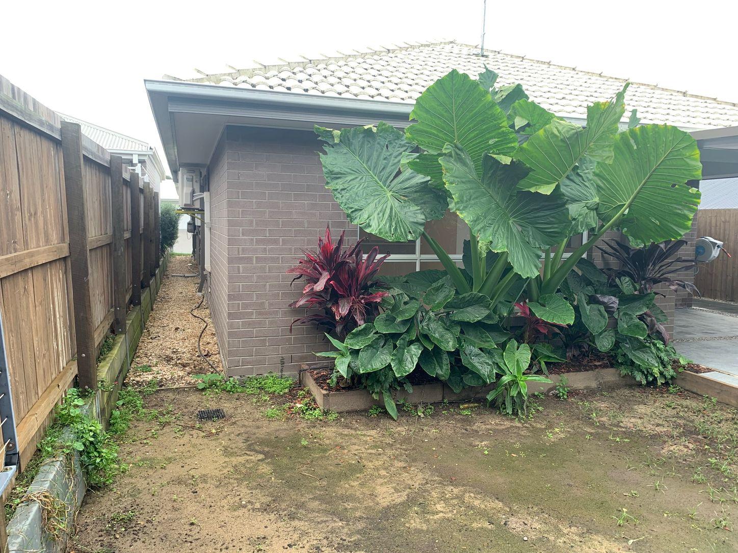 House for Rent: Bahrs Scrub, QLD 4207, QLD, 4207