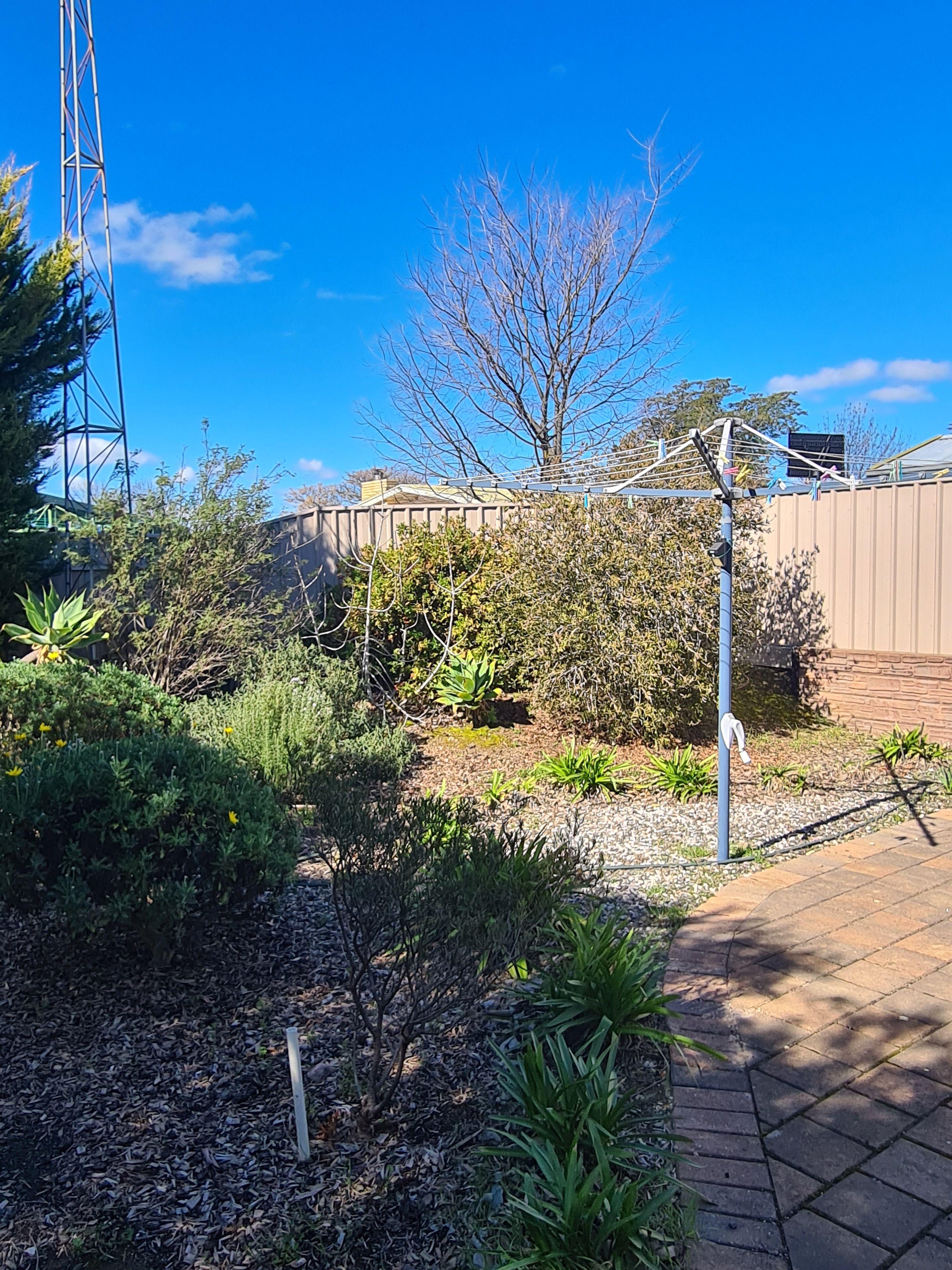 House for Rent: Clare, SA 5453, SA, 5453
