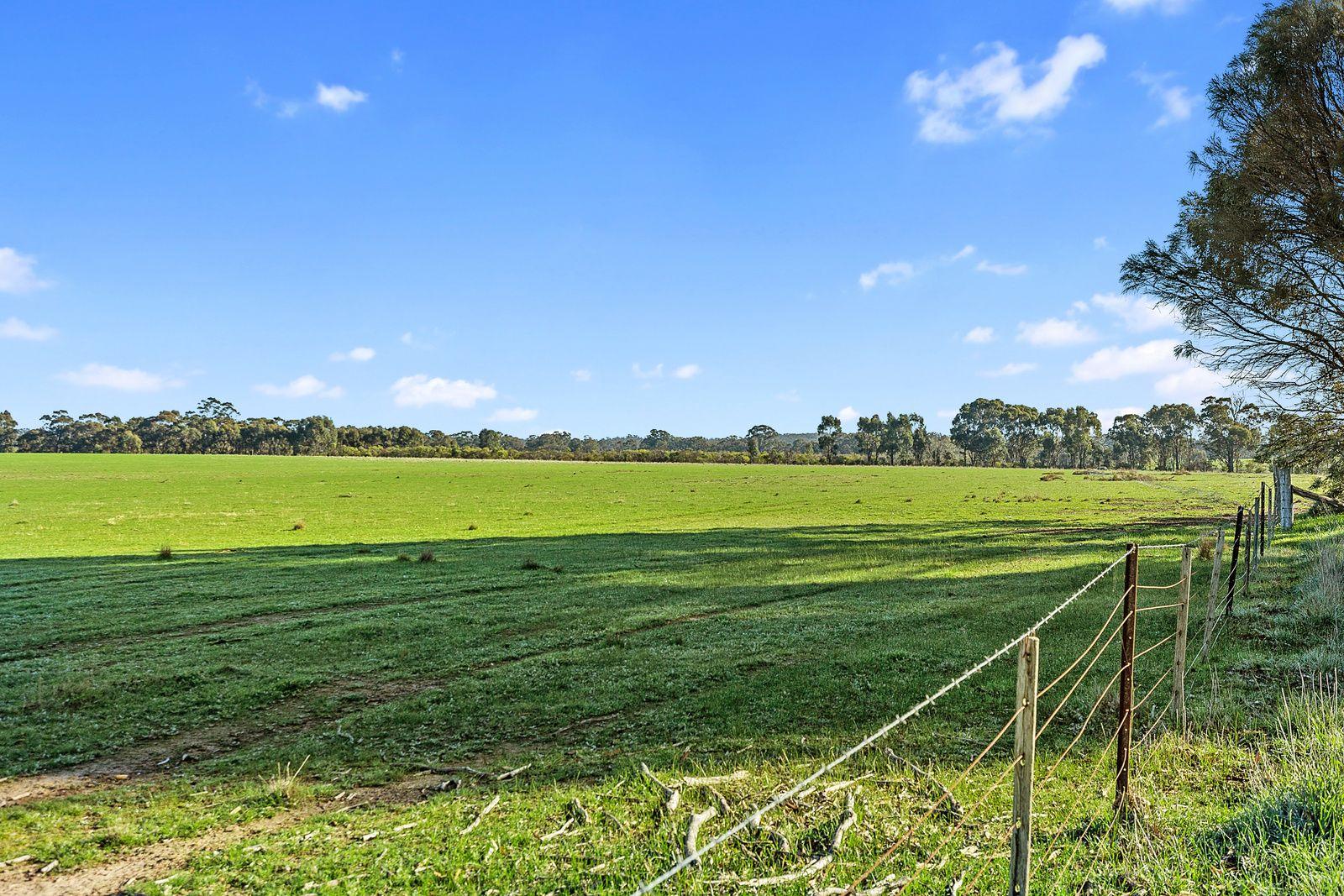 ON-SITE AUCTION 19th OF SEPTEMBER