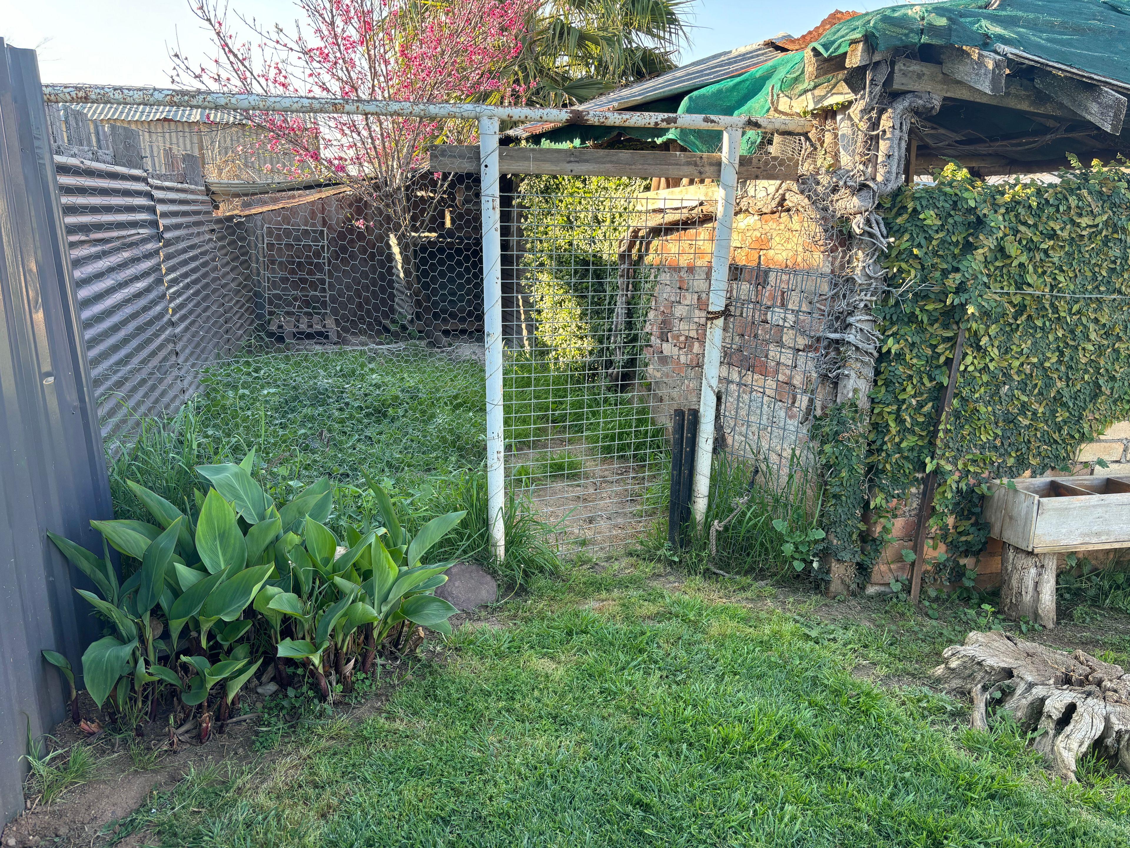 House for Rent: Upper Bingara, NSW 2404, NSW, 2404