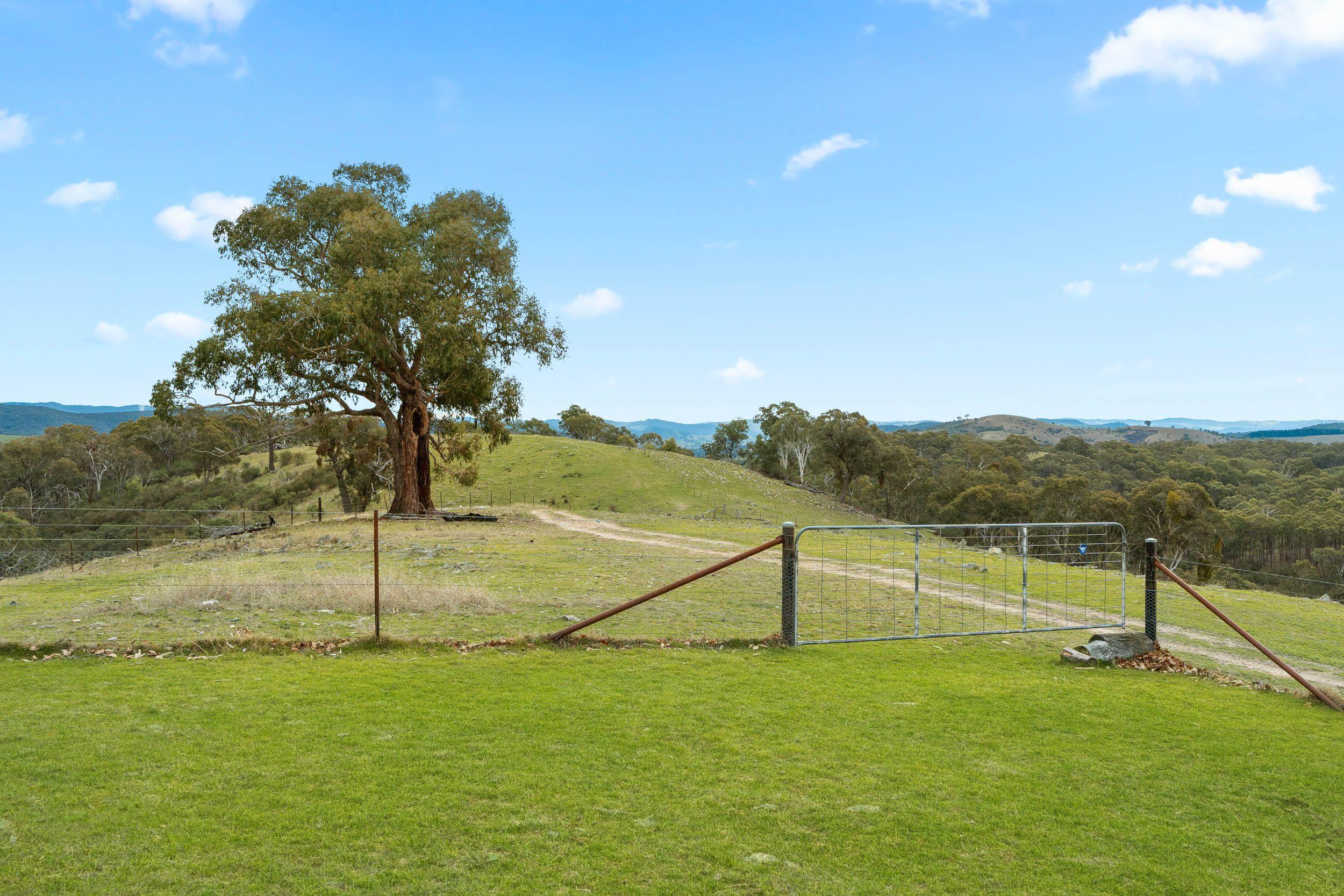 Your Weekend Escape with Views for Days