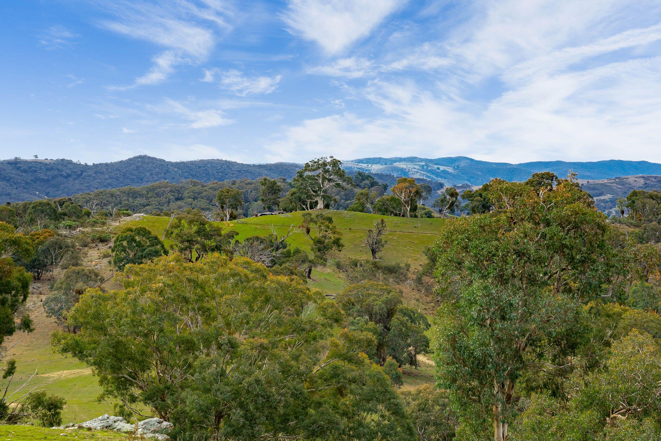 Your Weekend Escape with Views for Days
