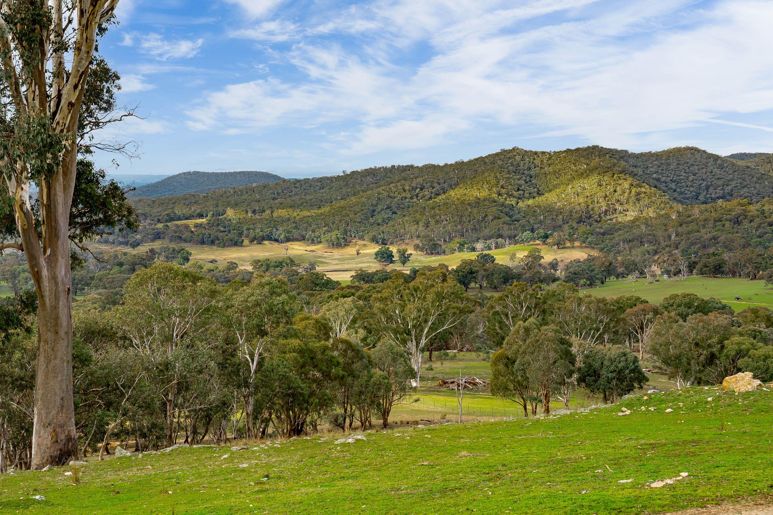 Your Weekend Escape with Views for Days