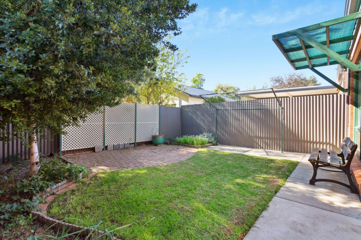 Property for Rent: Clarence Park, SA 5034, SA, 5034