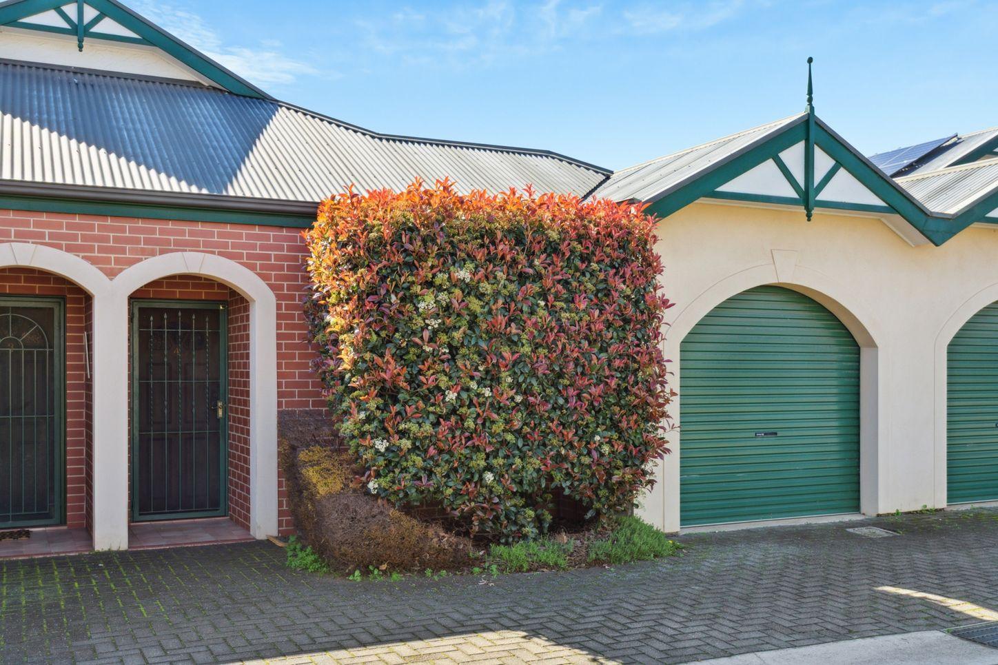 Property for Rent: Clarence Park, SA 5034, SA, 5034