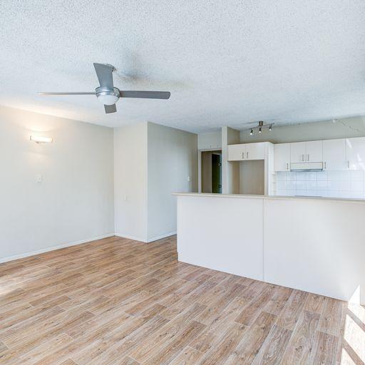 3/136 Kingsford Smith Drive, HAMILTON, QLD 4007 - House for Rent - harcourts.net