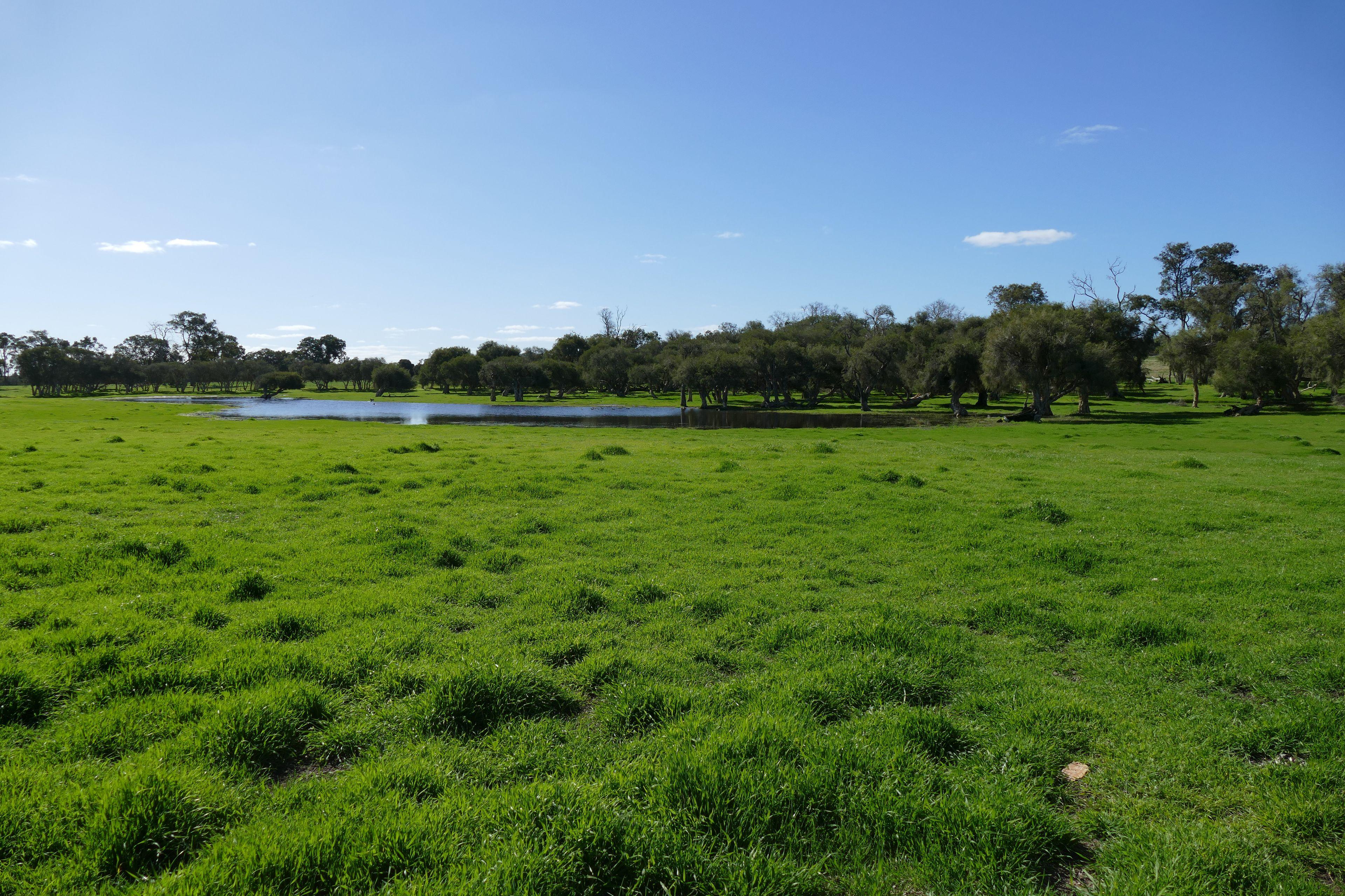 1770 Beermullah Road West, Wanerie