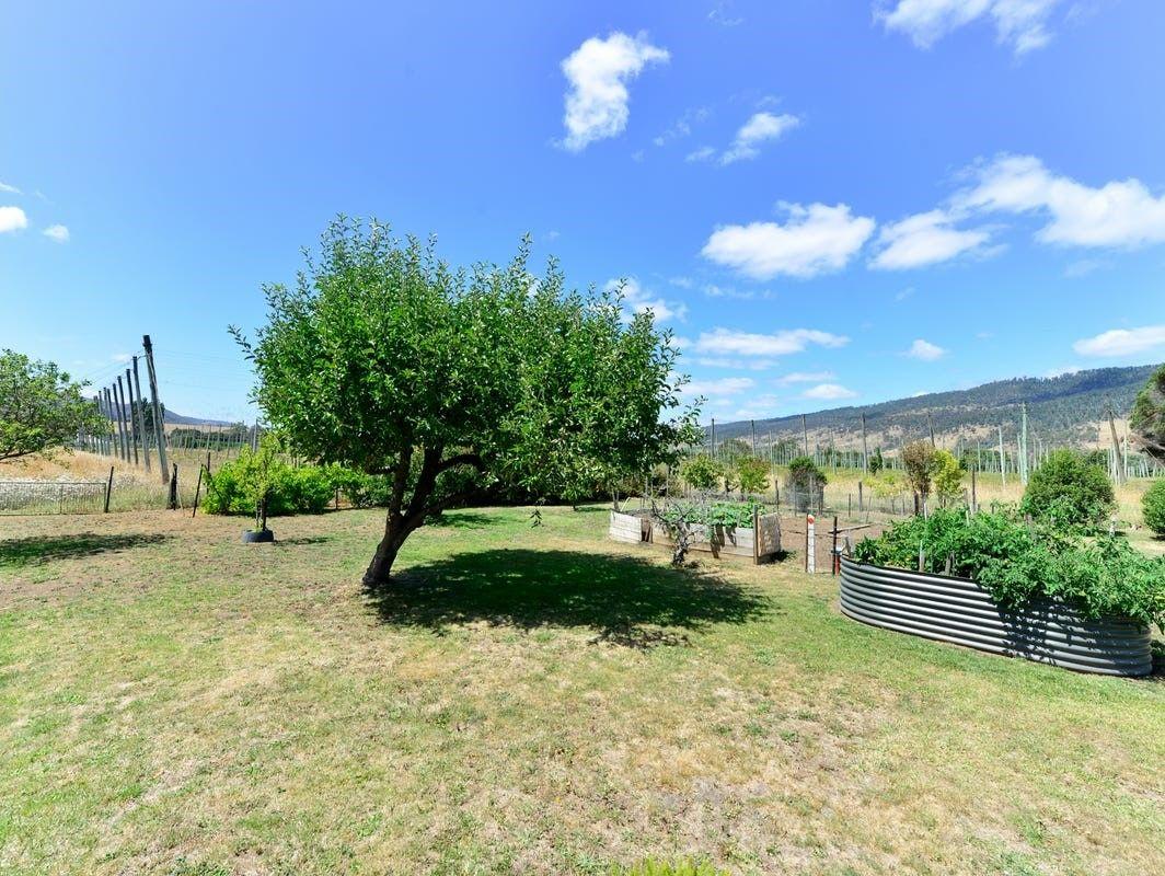 House for Rent: Bushy Park, TAS 7140, TAS, 7140