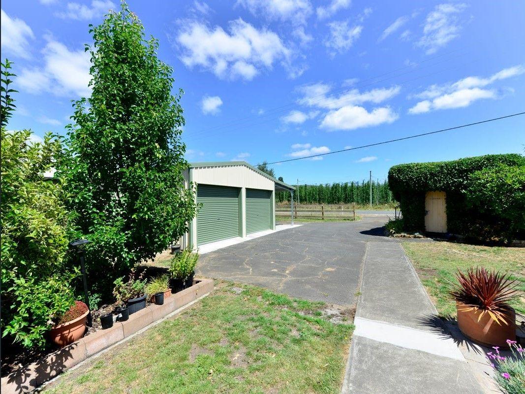 House for Rent: Bushy Park, TAS 7140, TAS, 7140
