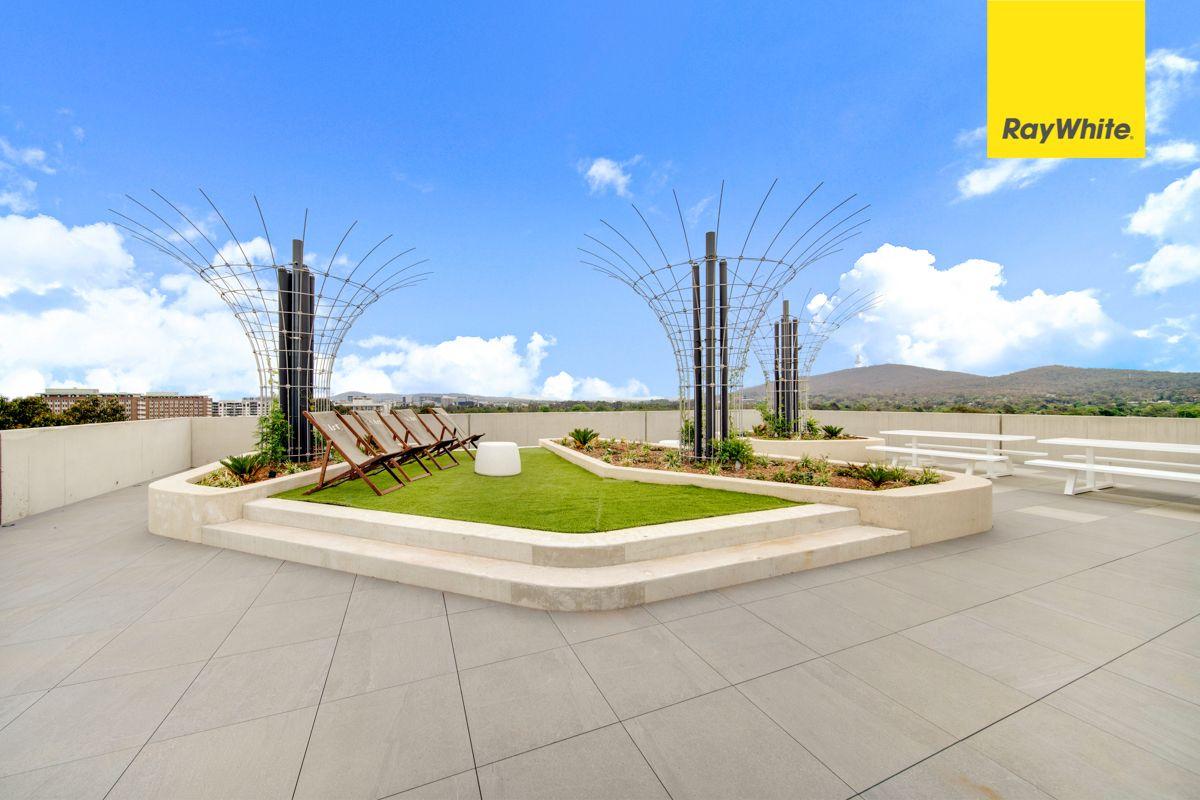 Spacious Apartment on Forbes