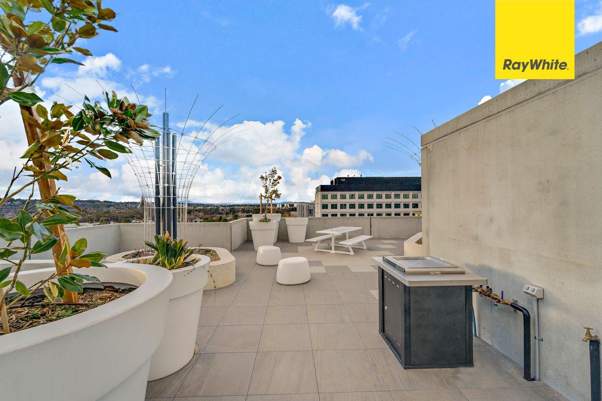 Spacious Apartment on Forbes