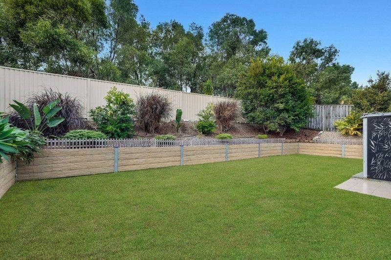 Elevated Living: Spacious, Sunlit Sanctuary in Pacific Pines