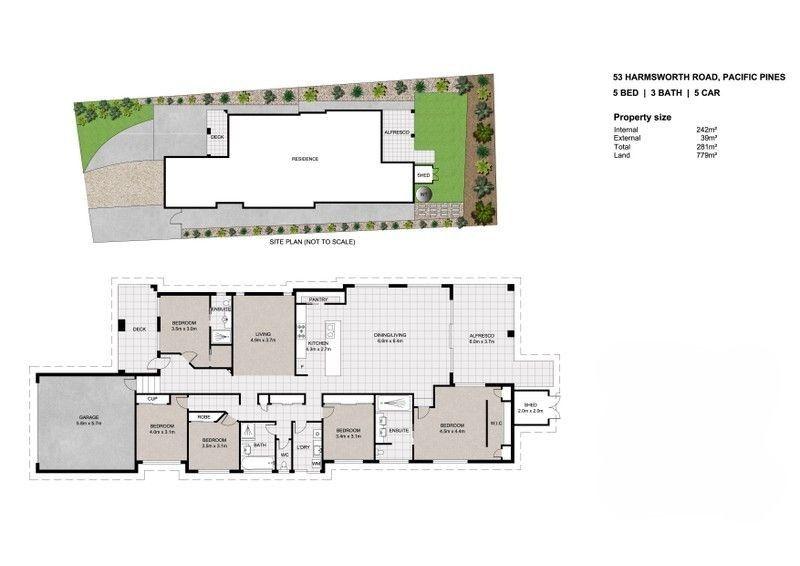 Elevated Living: Spacious, Sunlit Sanctuary in Pacific Pines