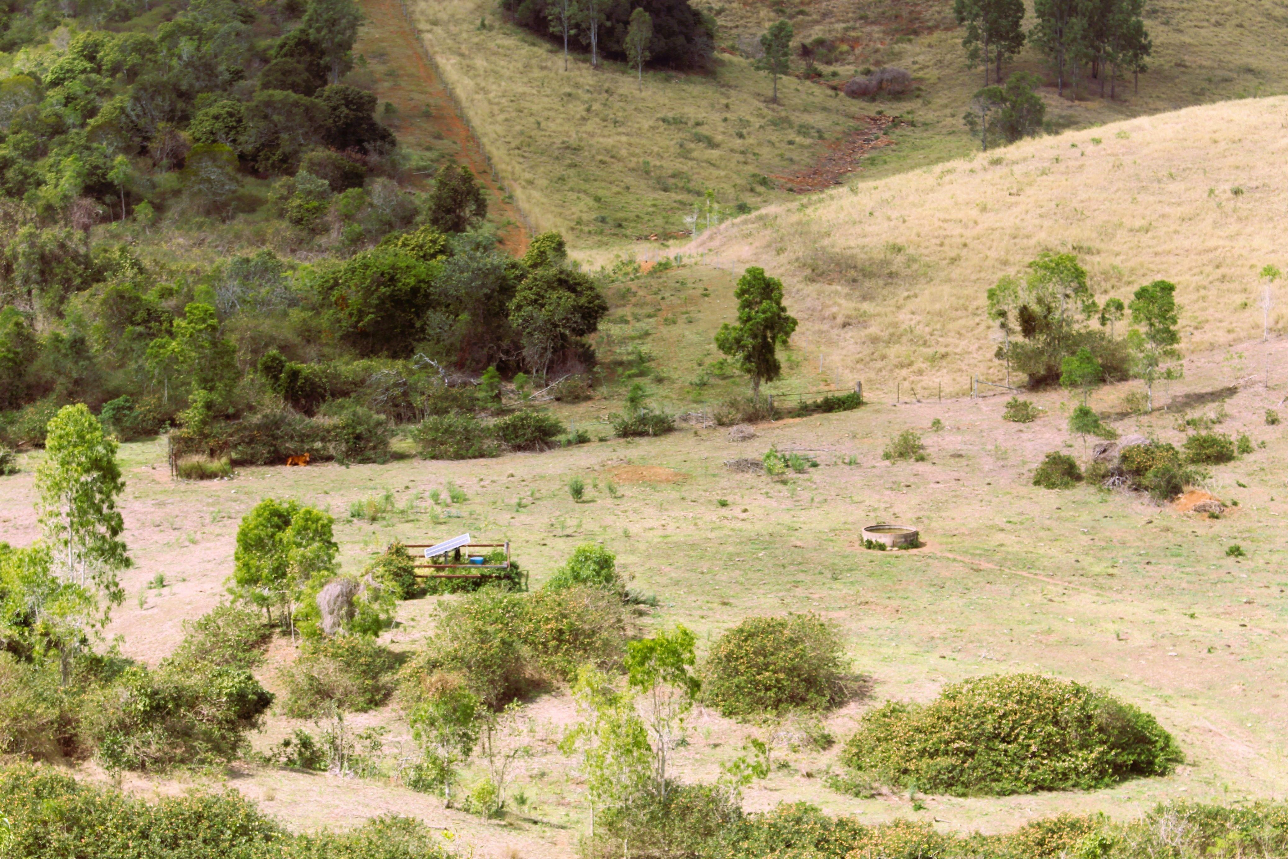 Well sought after scrub country located in the Bracewell District.....