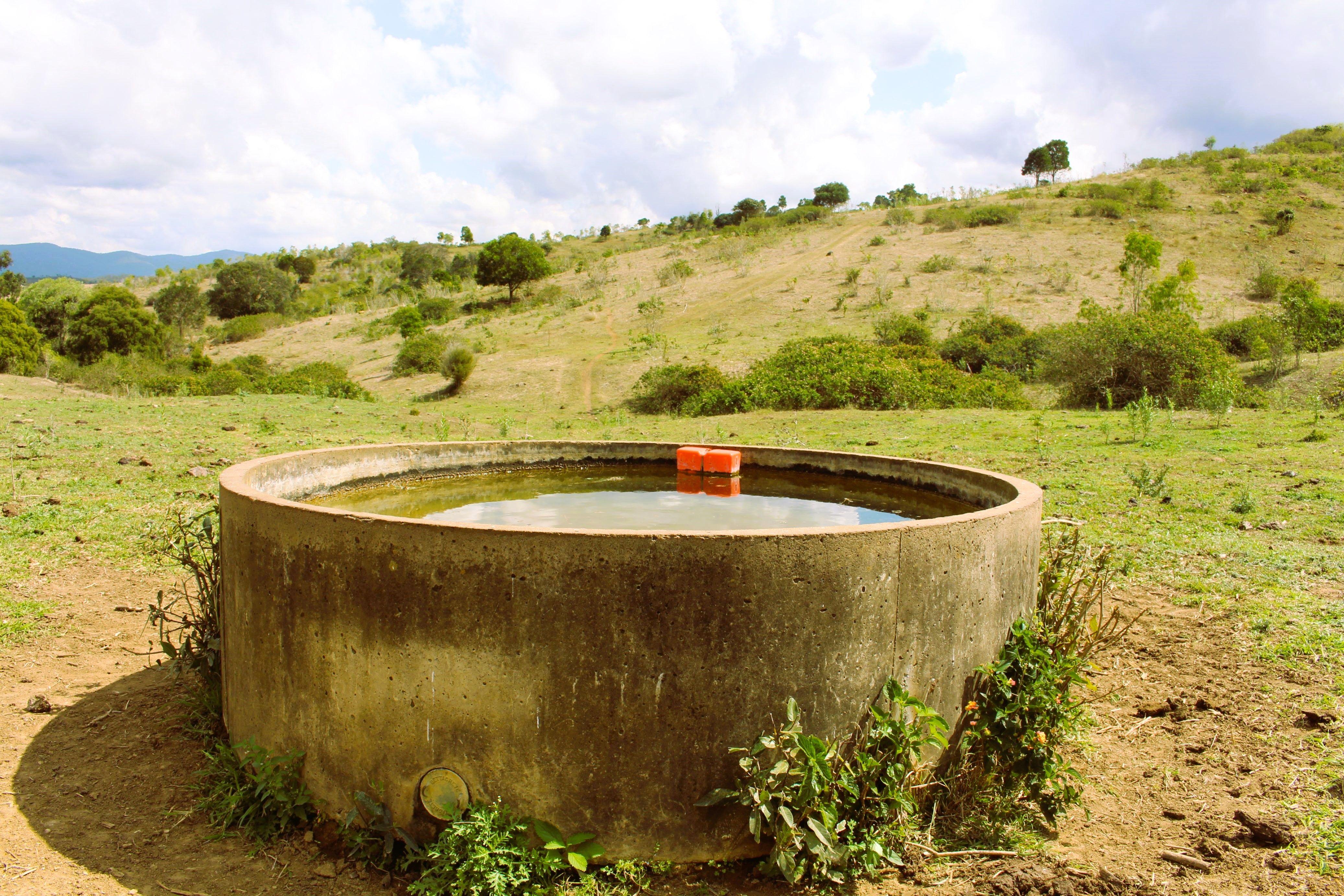 Well sought after scrub country located in the Bracewell District.....