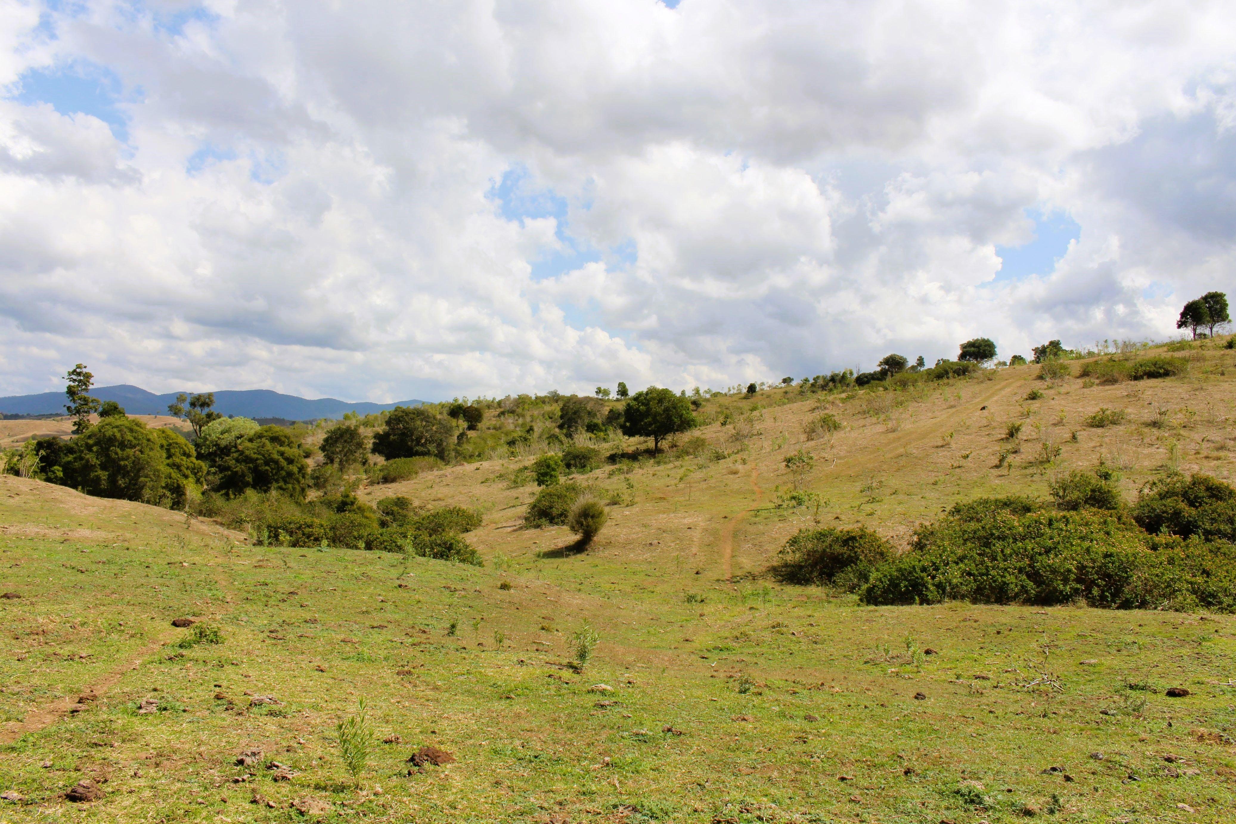 Well sought after scrub country located in the Bracewell District.....