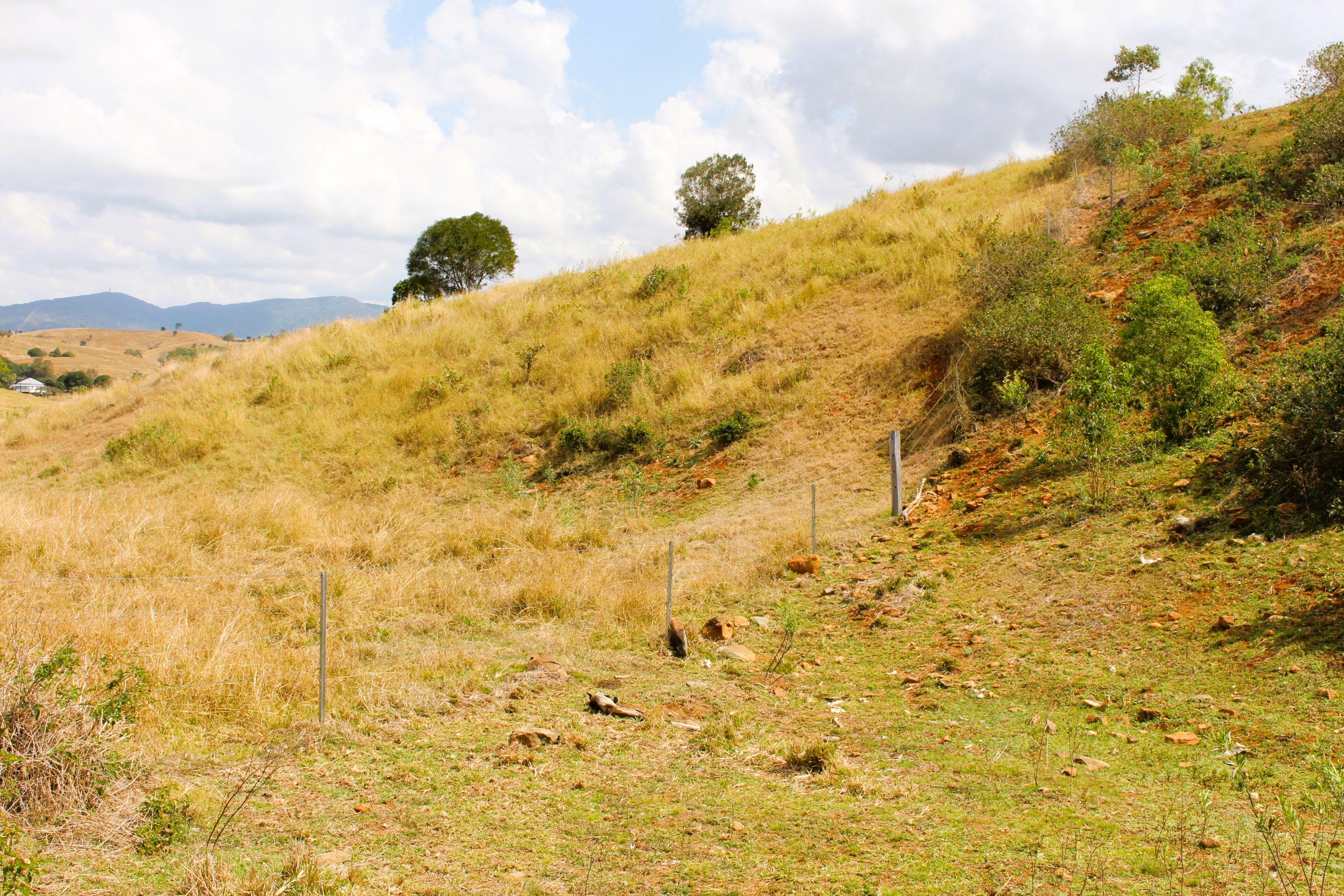 Well sought after scrub country located in the Bracewell District.....