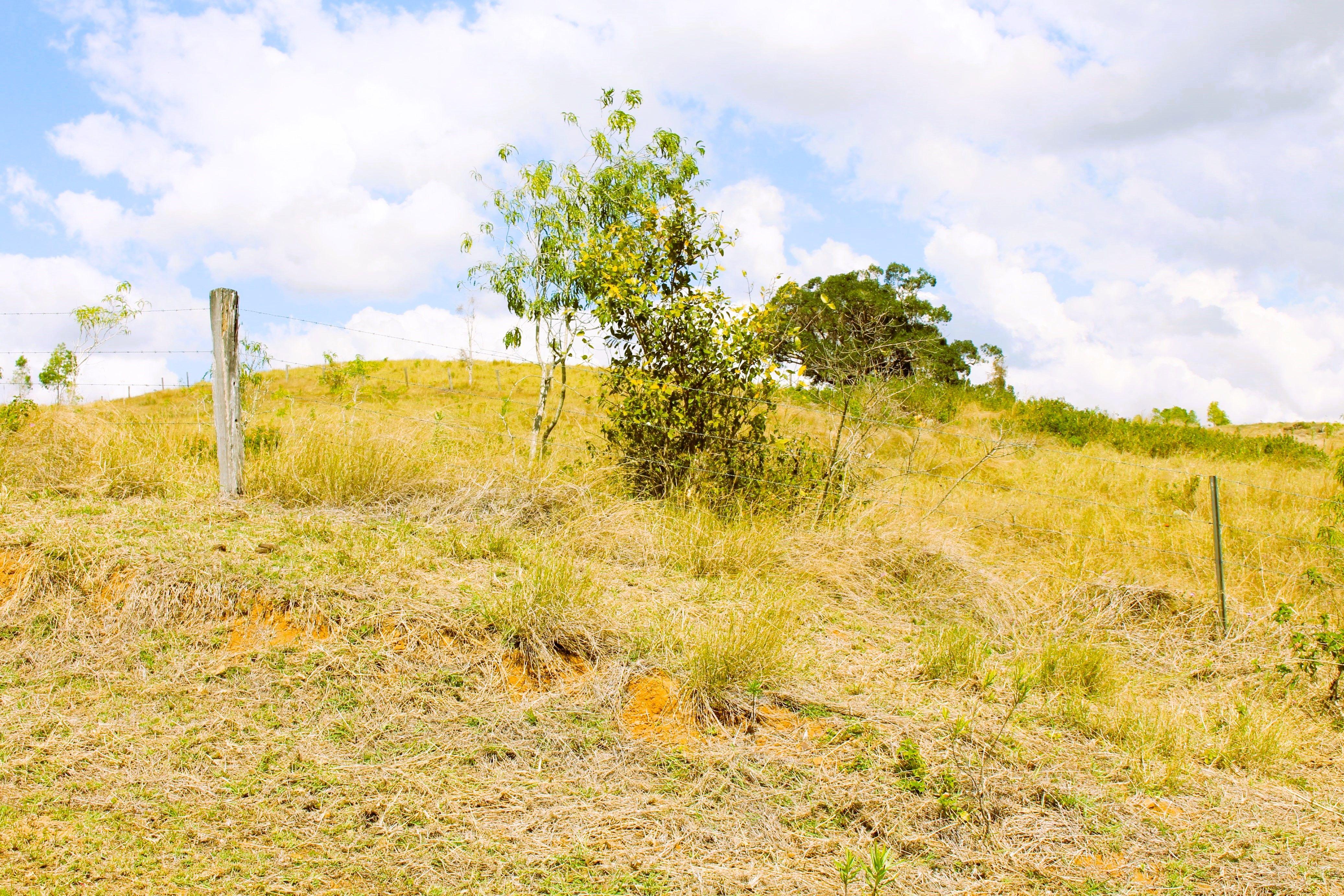 Well sought after scrub country located in the Bracewell District.....