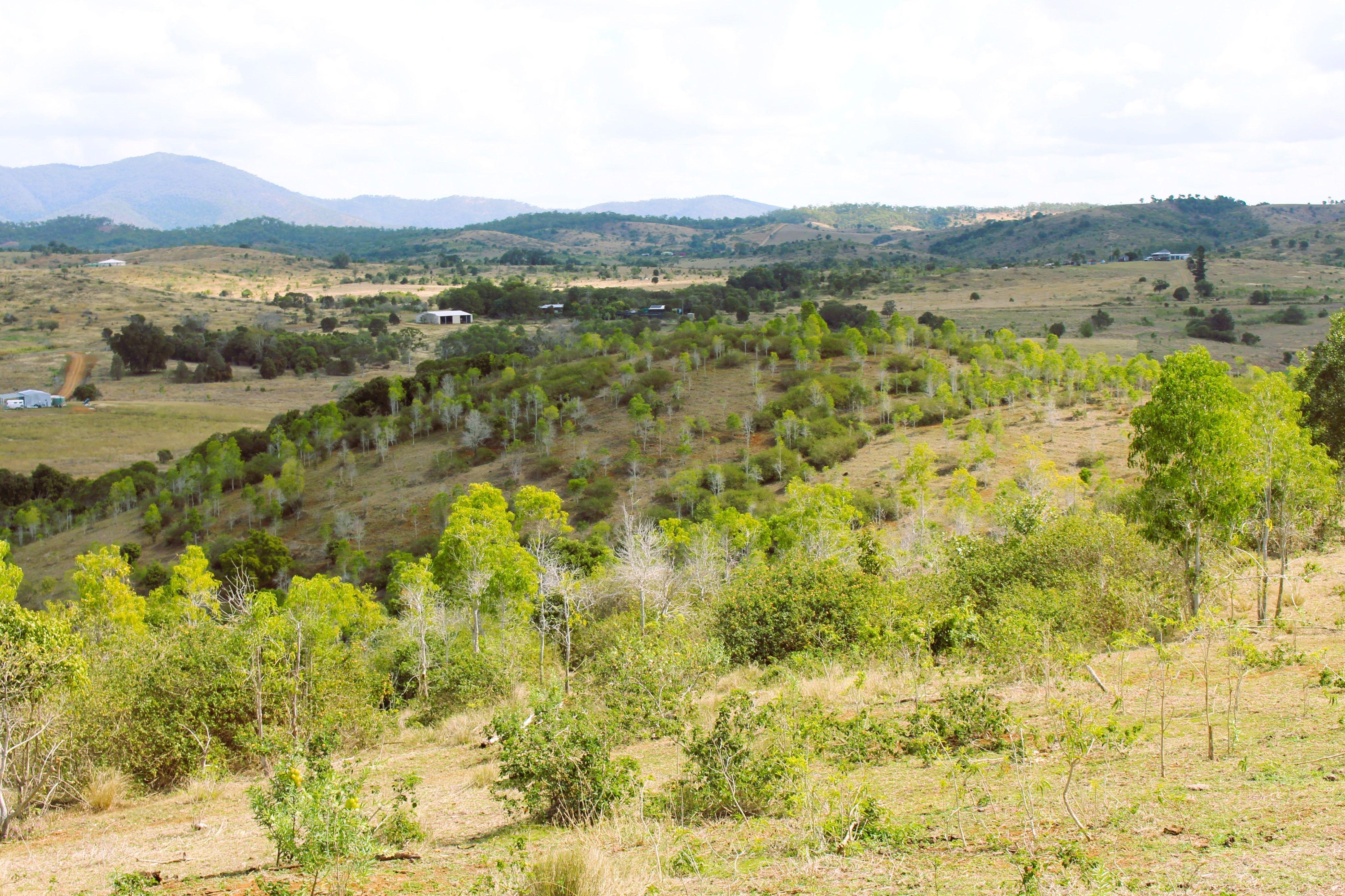 Well sought after scrub country located in the Bracewell District.....